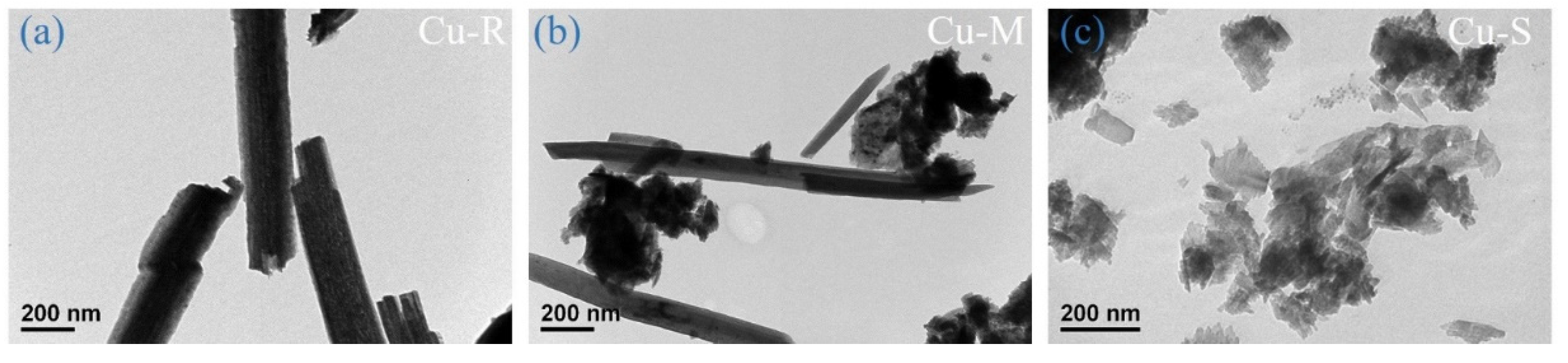 Ijms 23 03299 g002 550