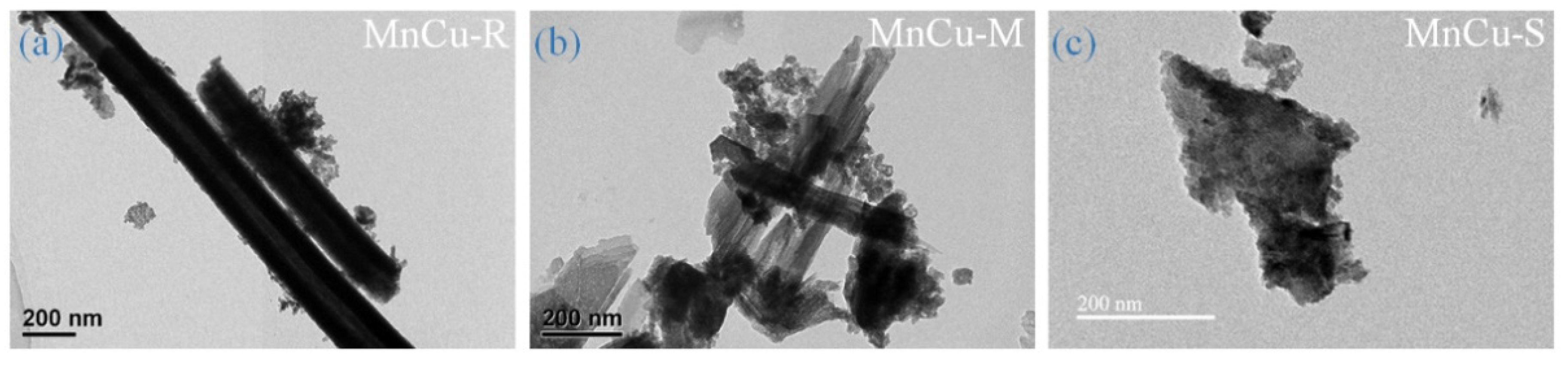 Ijms 23 03299 g006 550