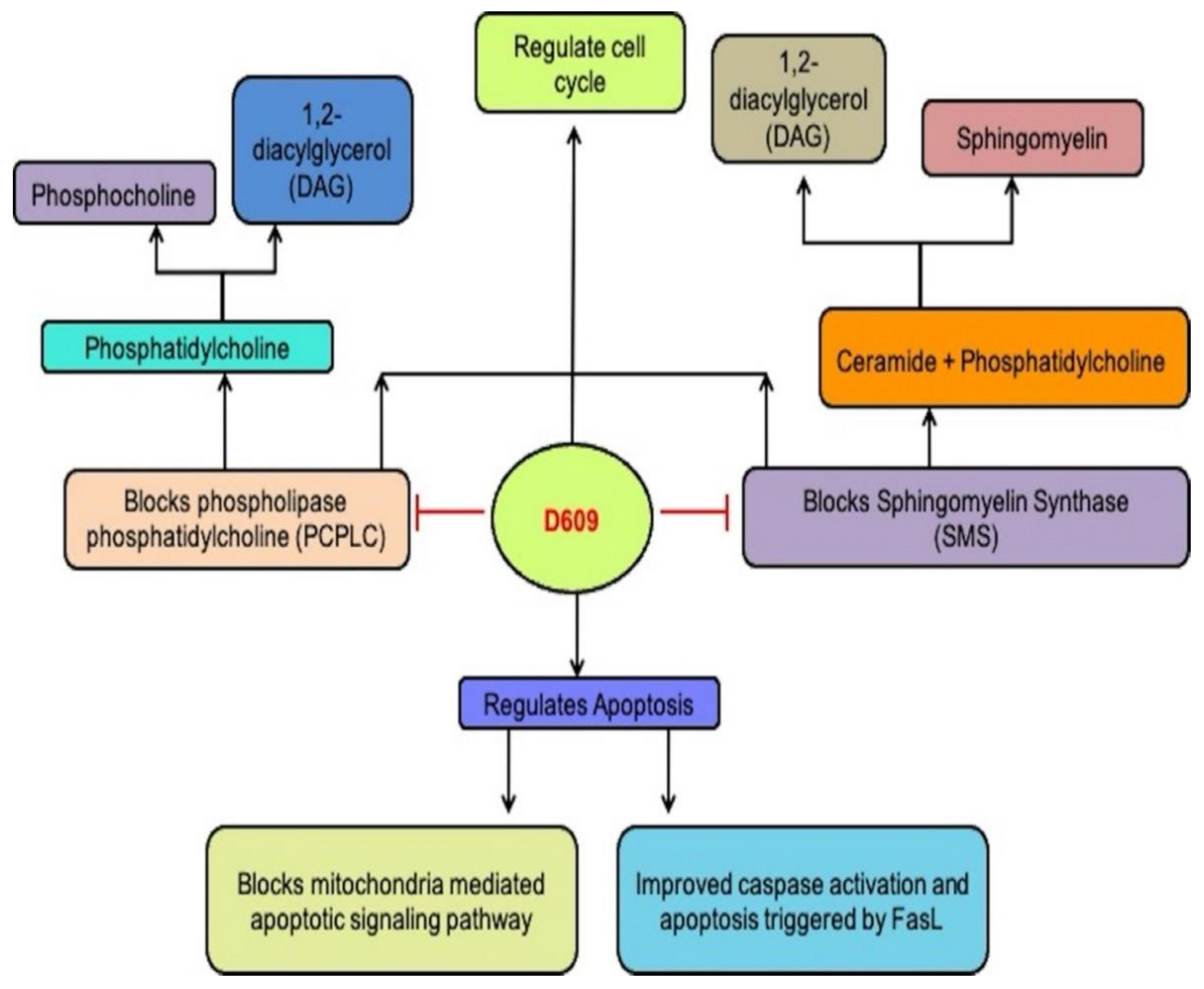 Ijms 23 03305 g002 Ijms 23 03305 g002