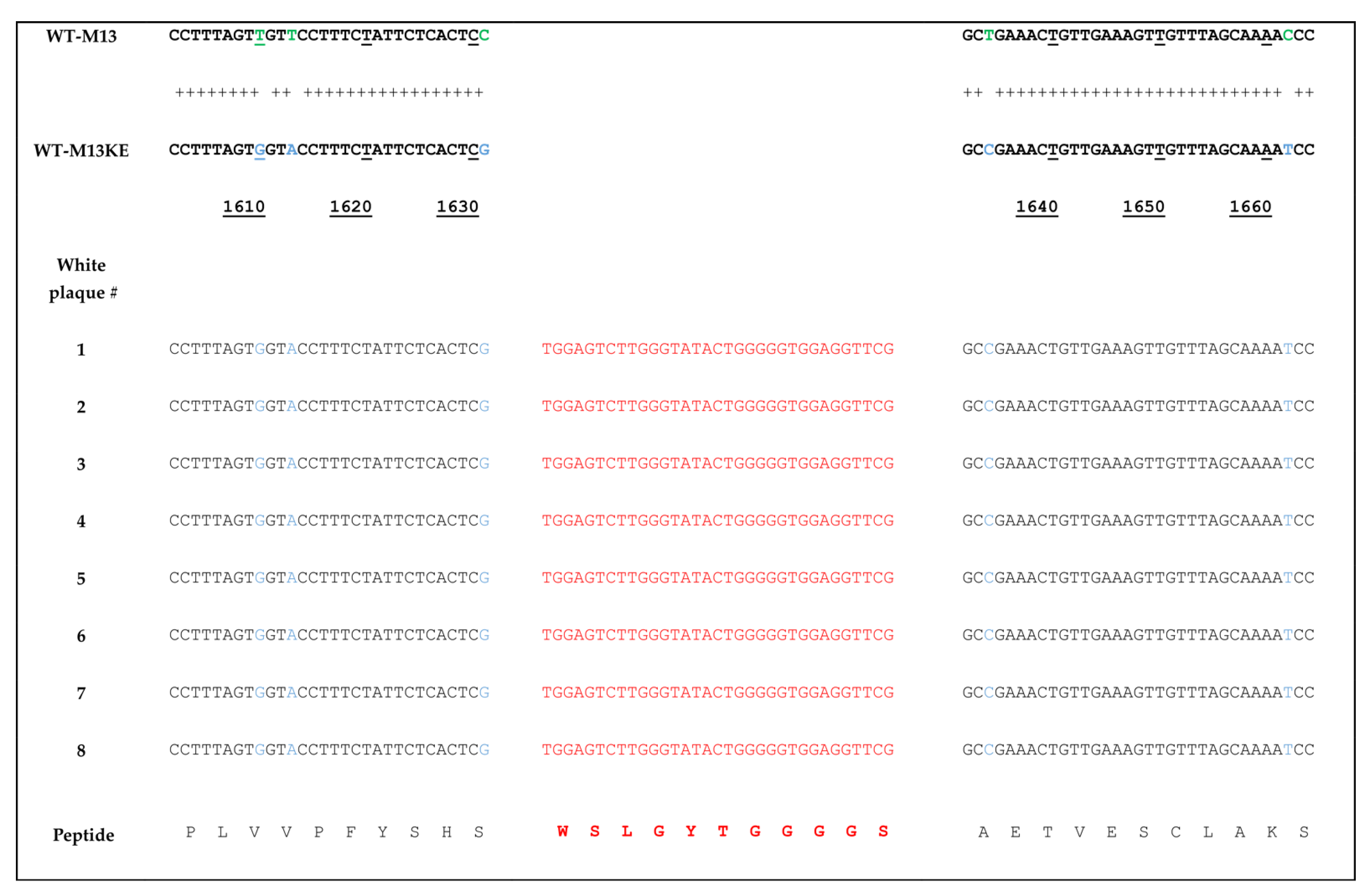 Ijms 23 03308 g002 550