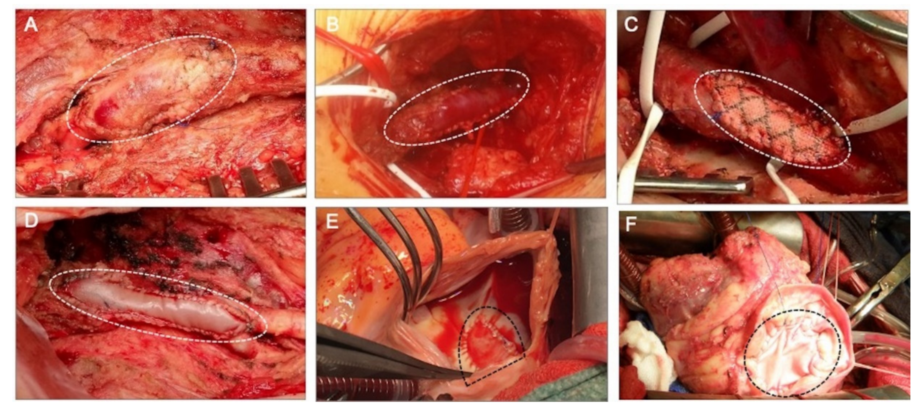 Ijms 23 03310 g001 Ijms 23 03310 g001