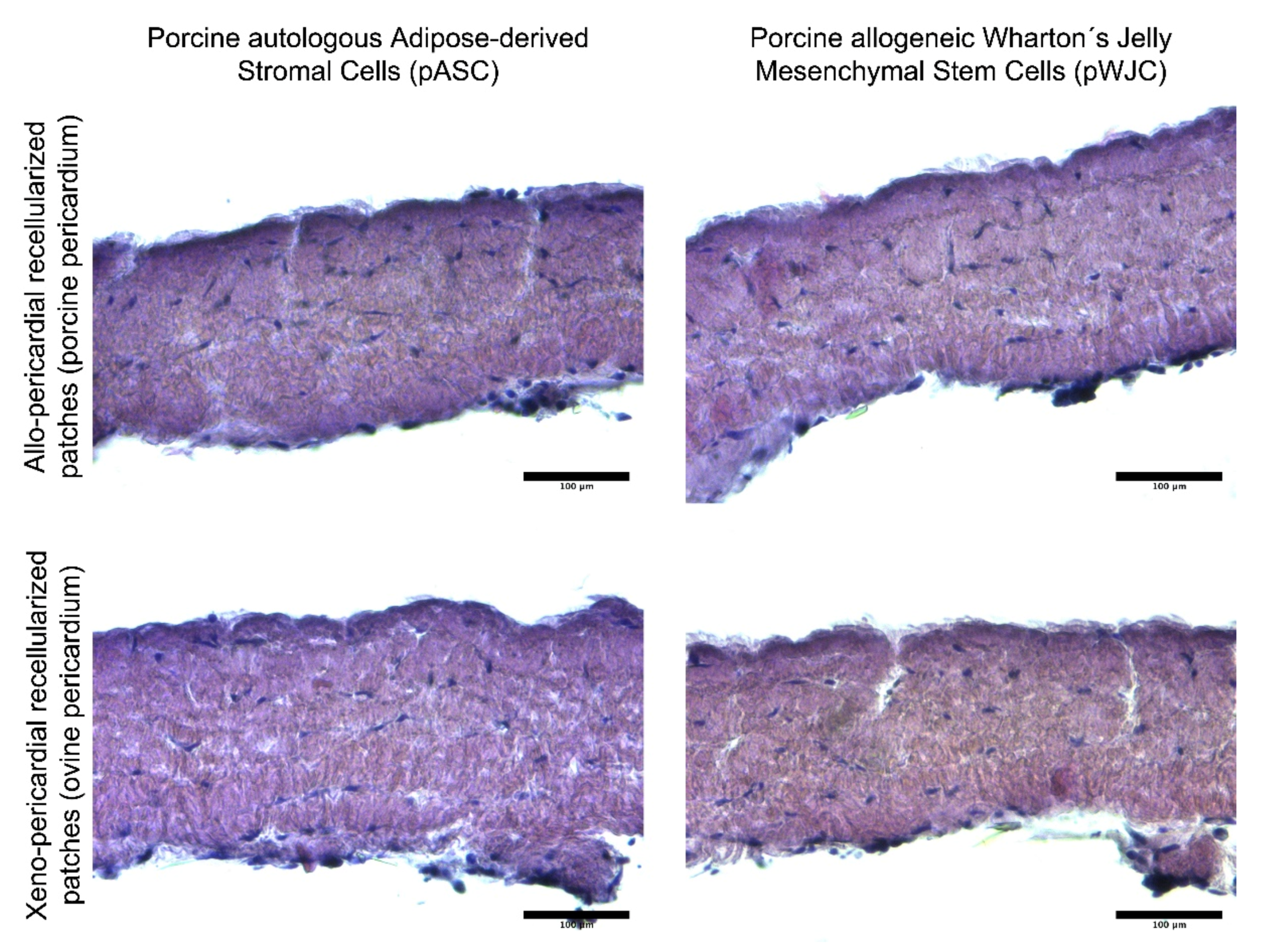 Ijms 23 03310 g003 Ijms 23 03310 g003