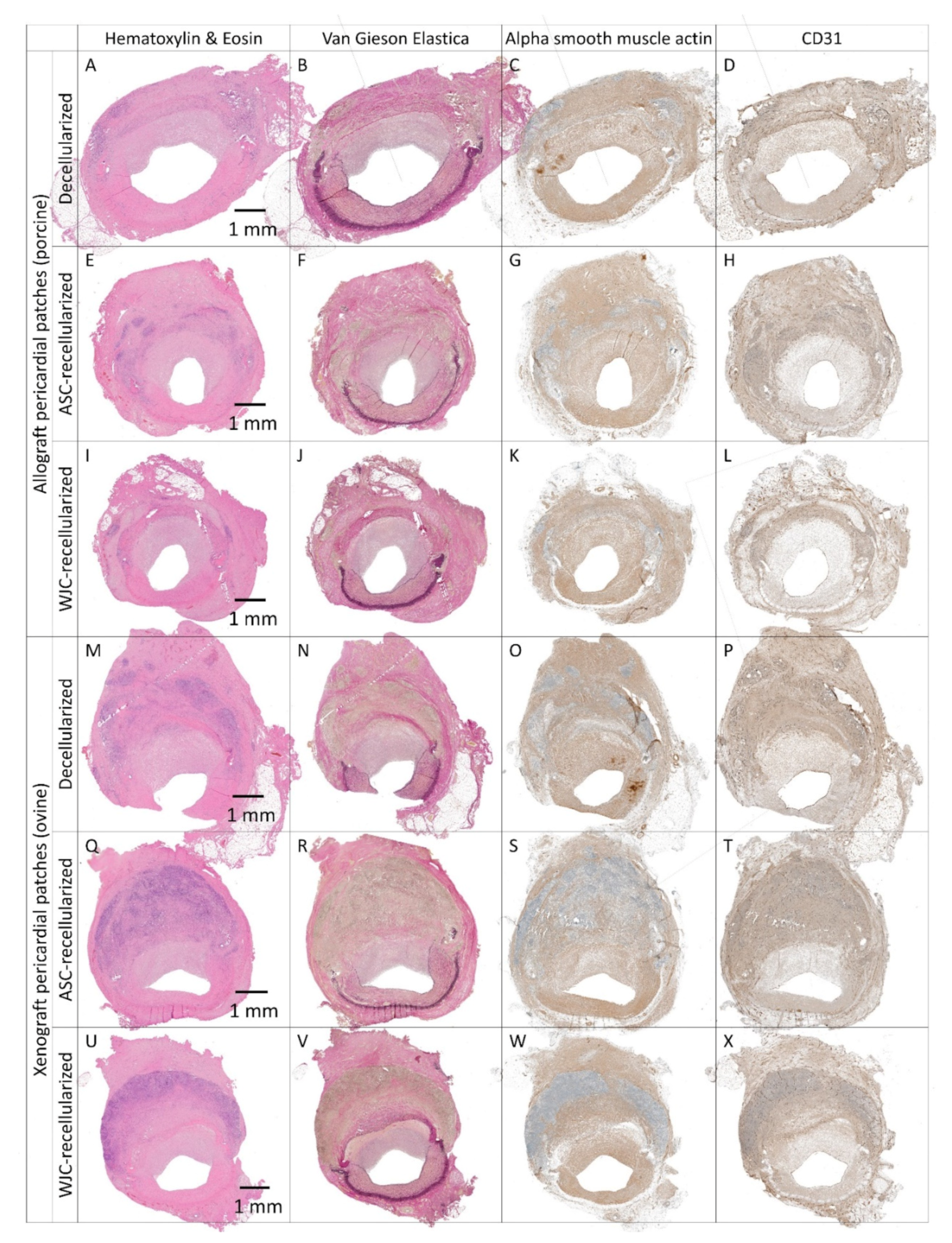 Ijms 23 03310 g009 Ijms 23 03310 g009