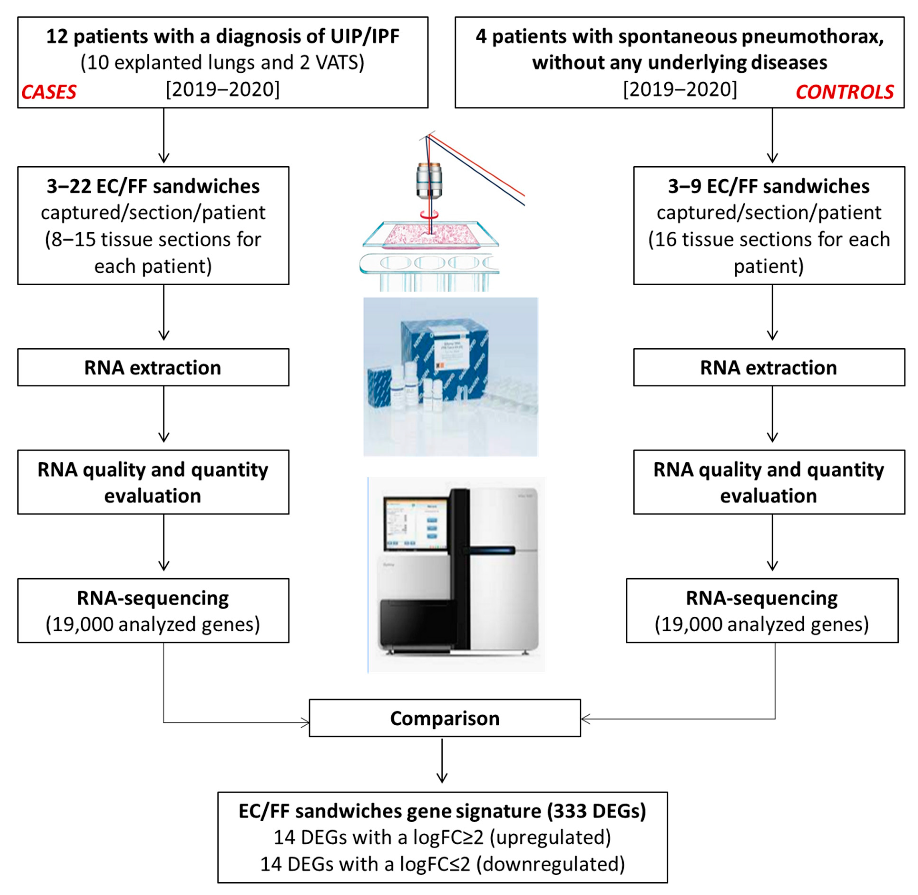 Ijms 23 03323 g002 550