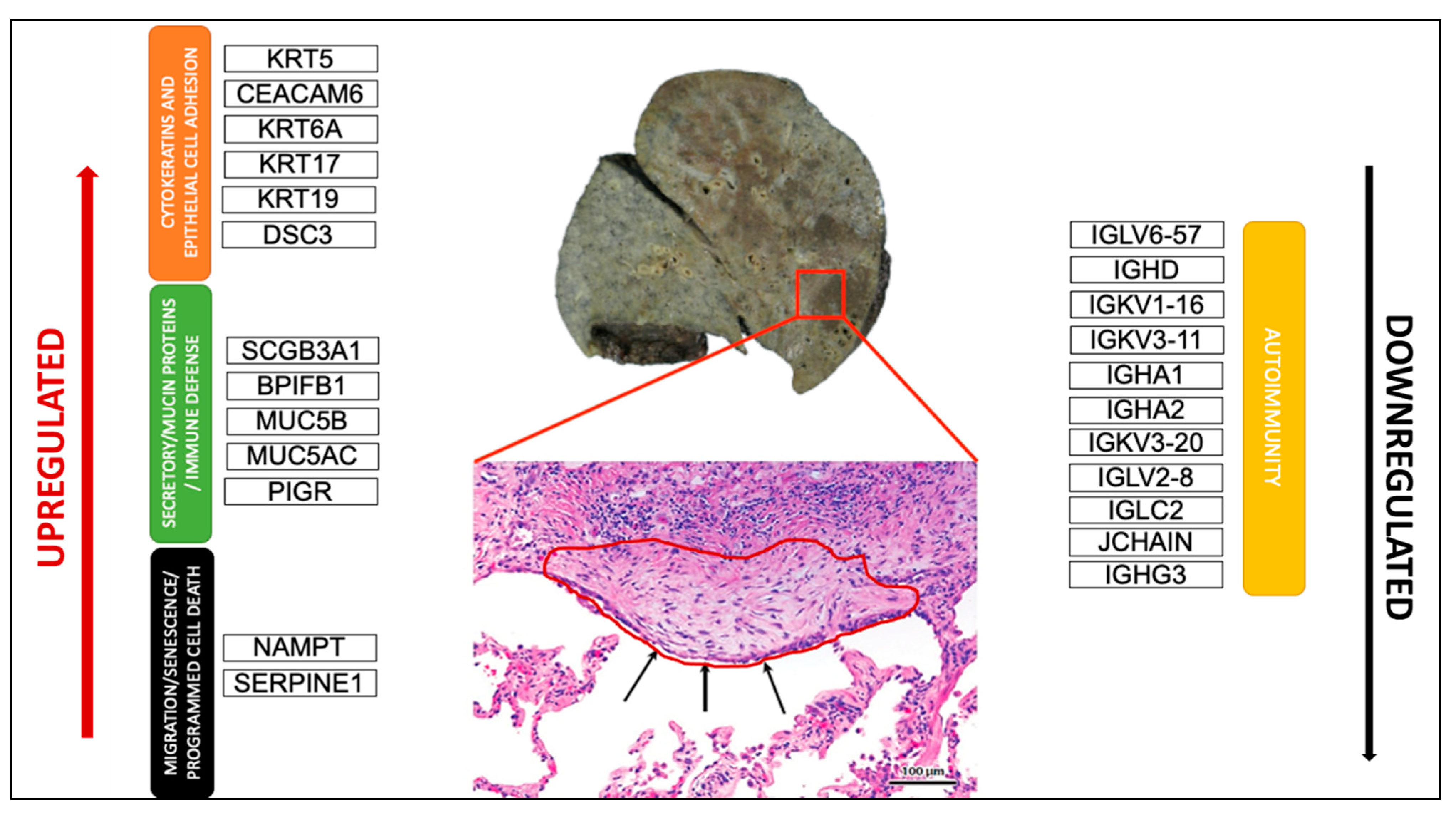 Ijms 23 03323 g004 550