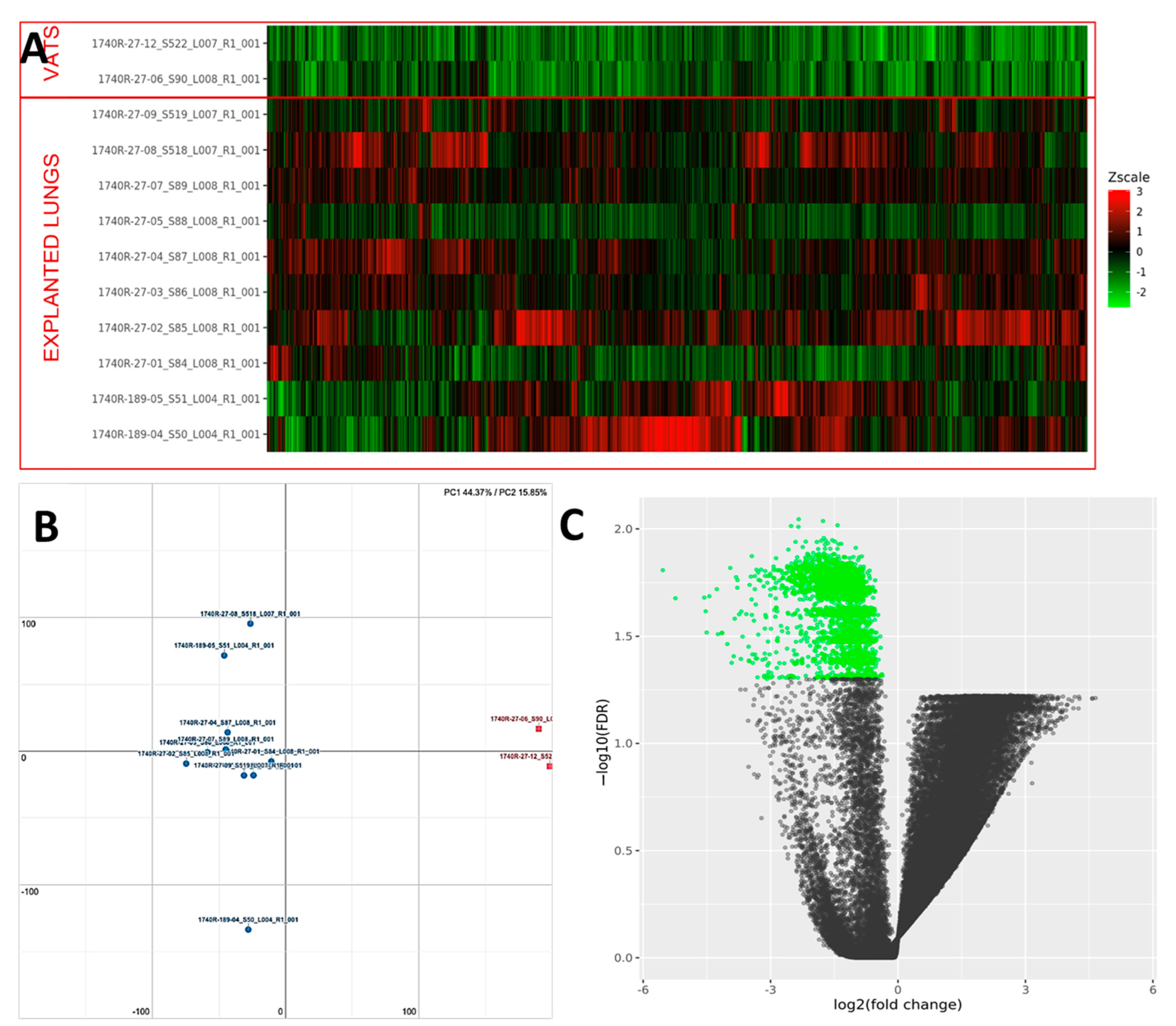 Ijms 23 03323 g009 550