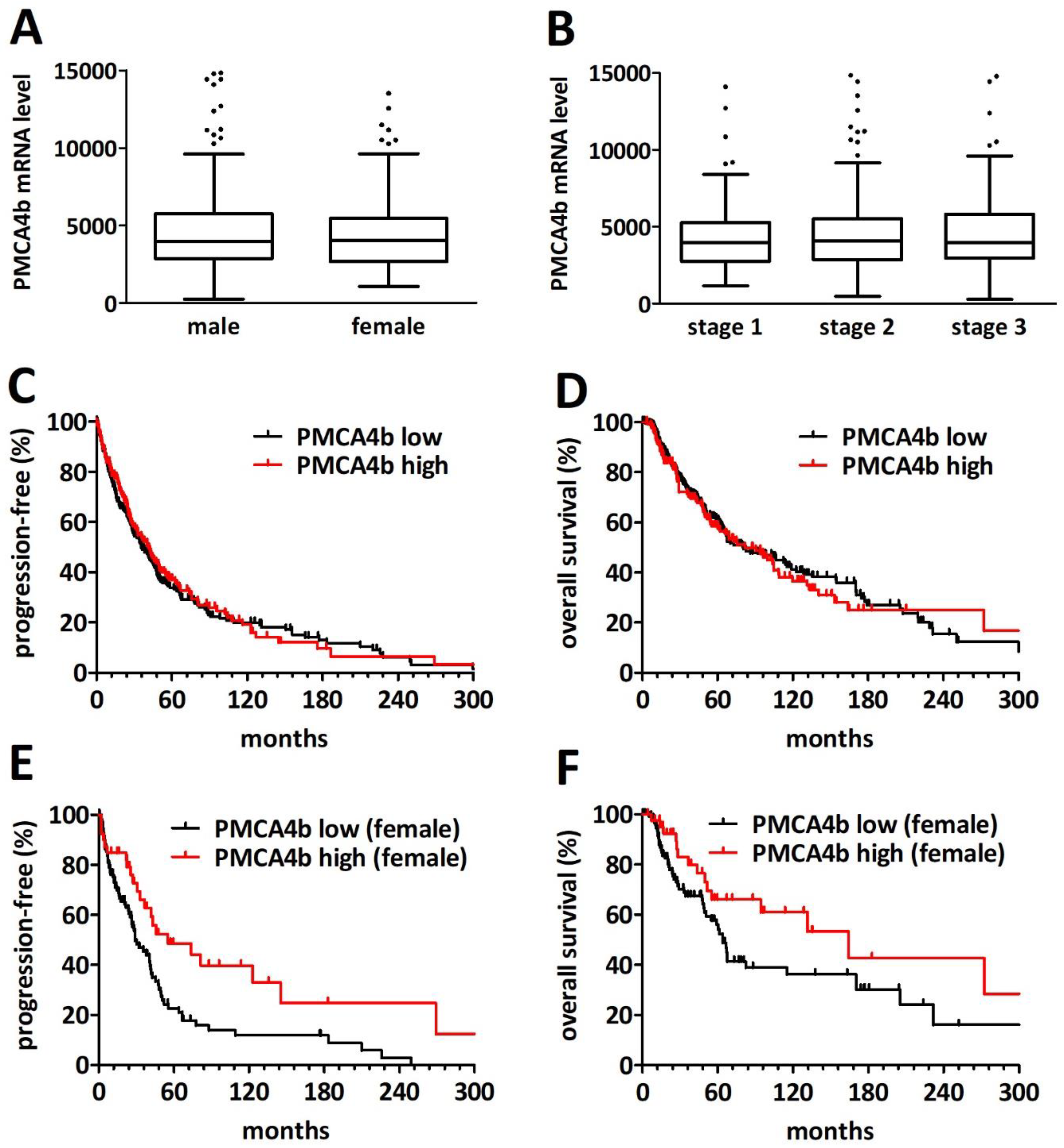 Ijms 23 03324 g004 550