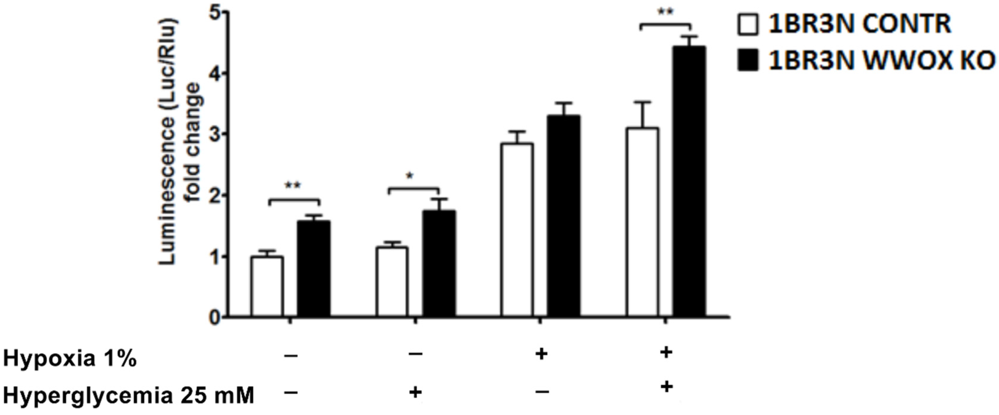 Ijms 23 03326 g002 Ijms 23 03326 g002