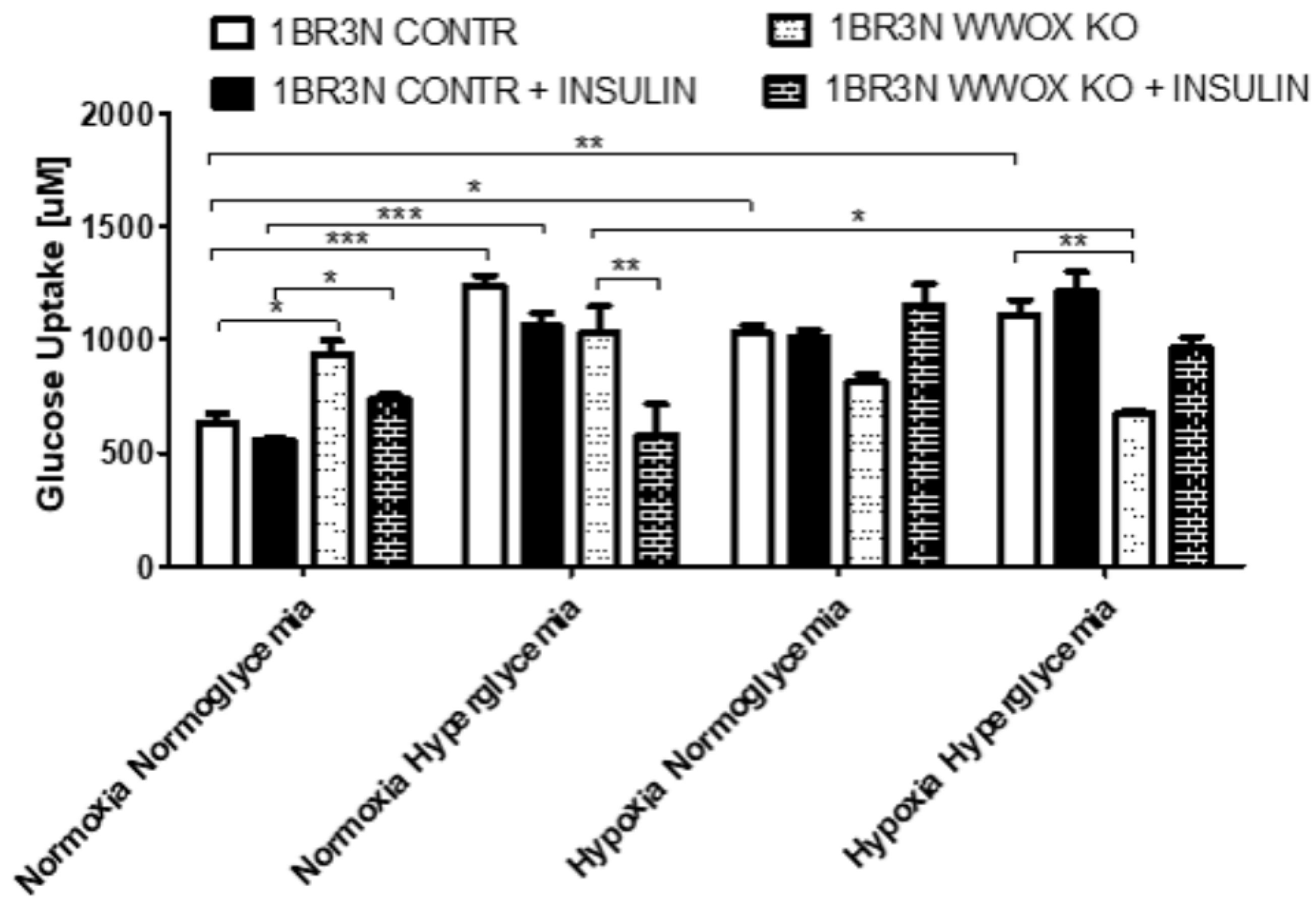 Ijms 23 03326 g003 Ijms 23 03326 g003