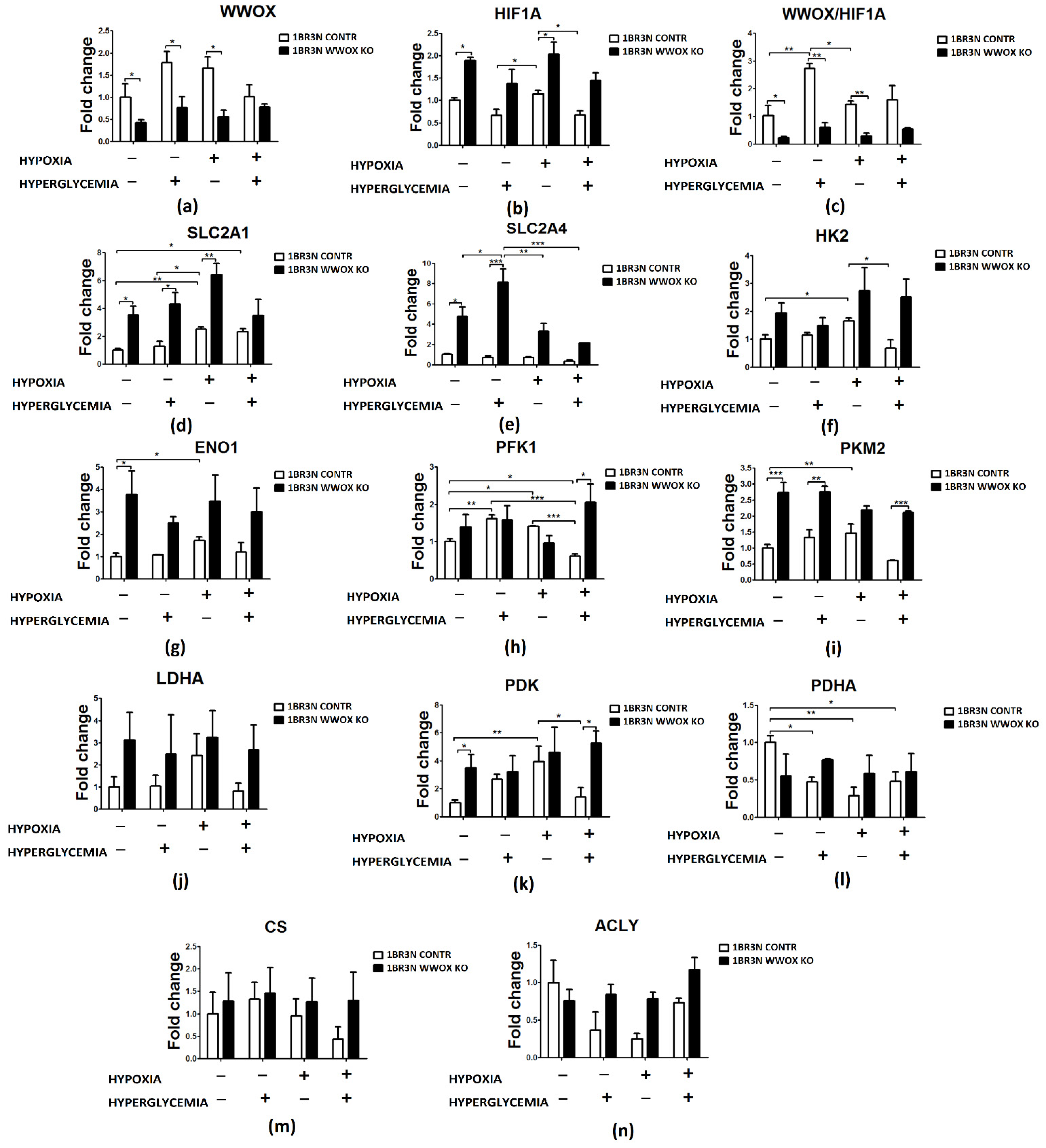 Ijms 23 03326 g004 Ijms 23 03326 g004