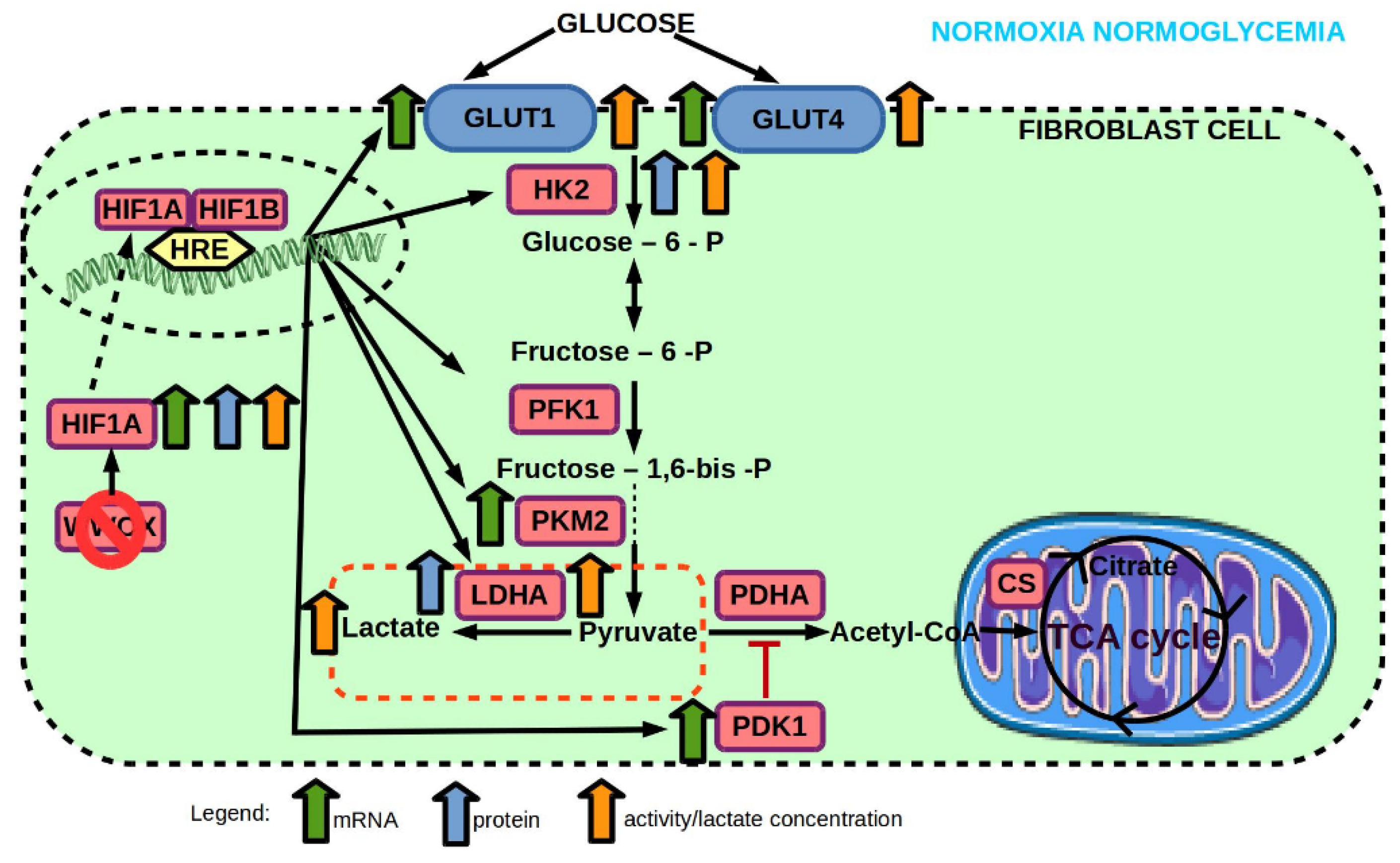 Ijms 23 03326 g009 Ijms 23 03326 g009