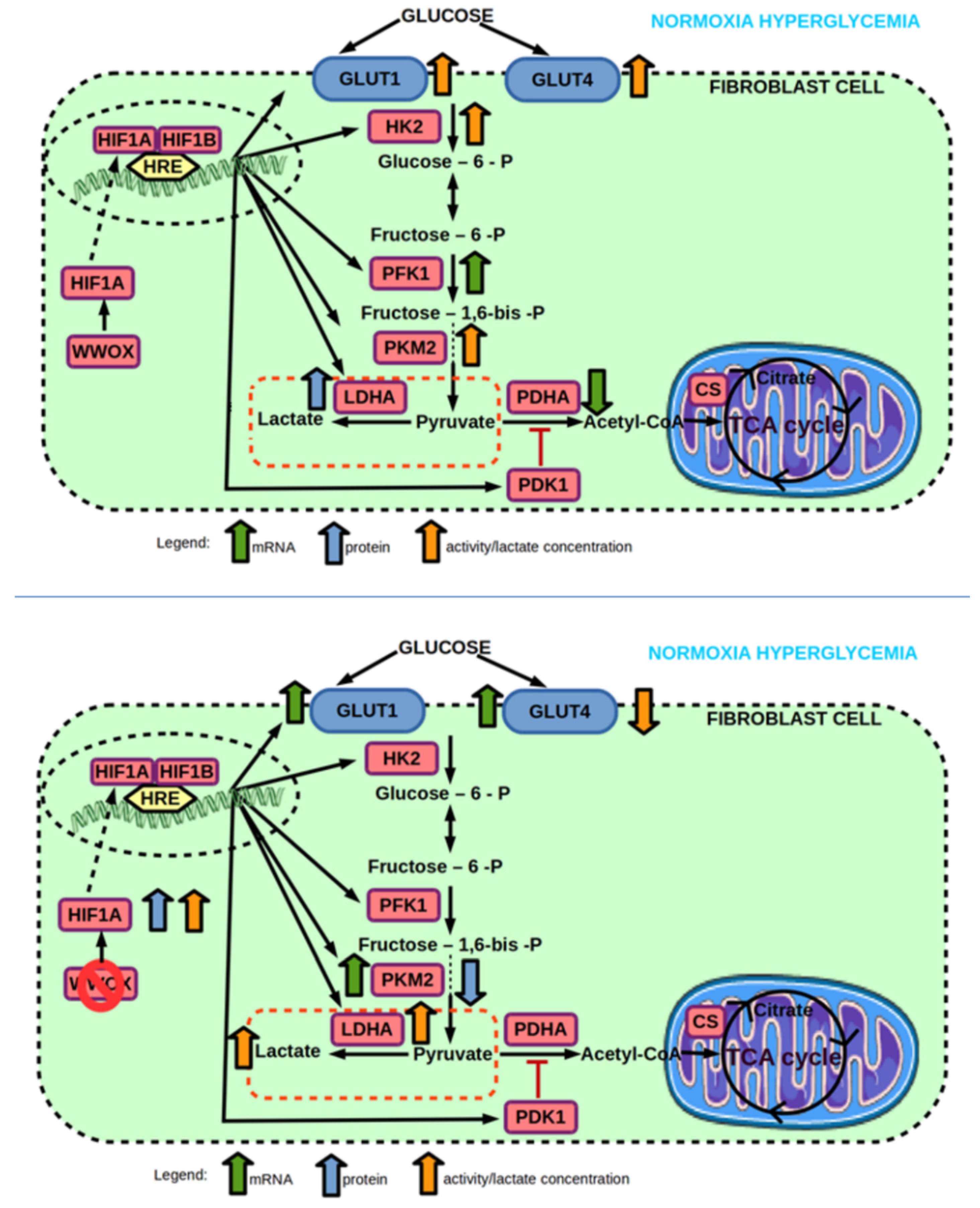 Ijms 23 03326 g010 Ijms 23 03326 g010