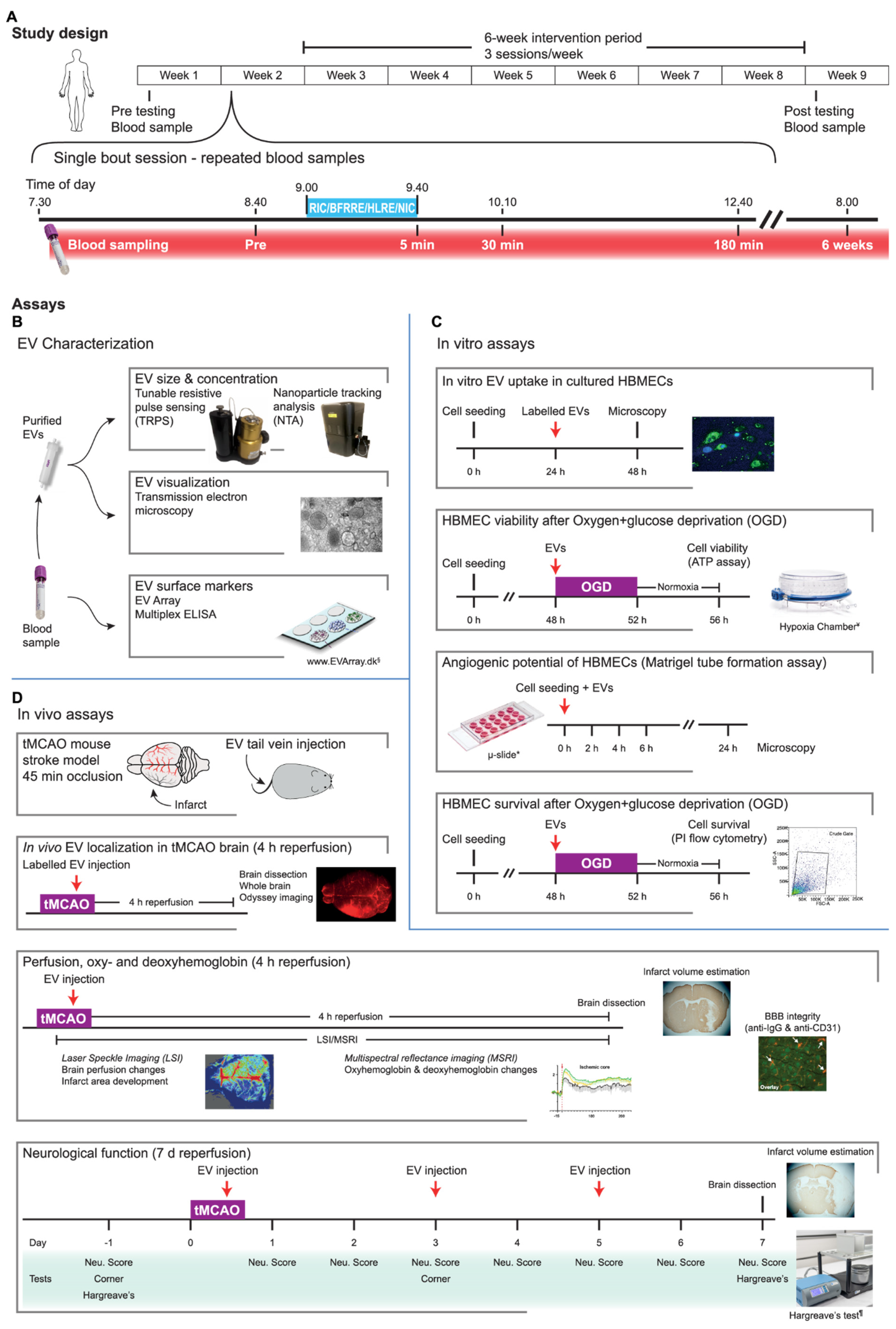 Ijms 23 03334 g001 550