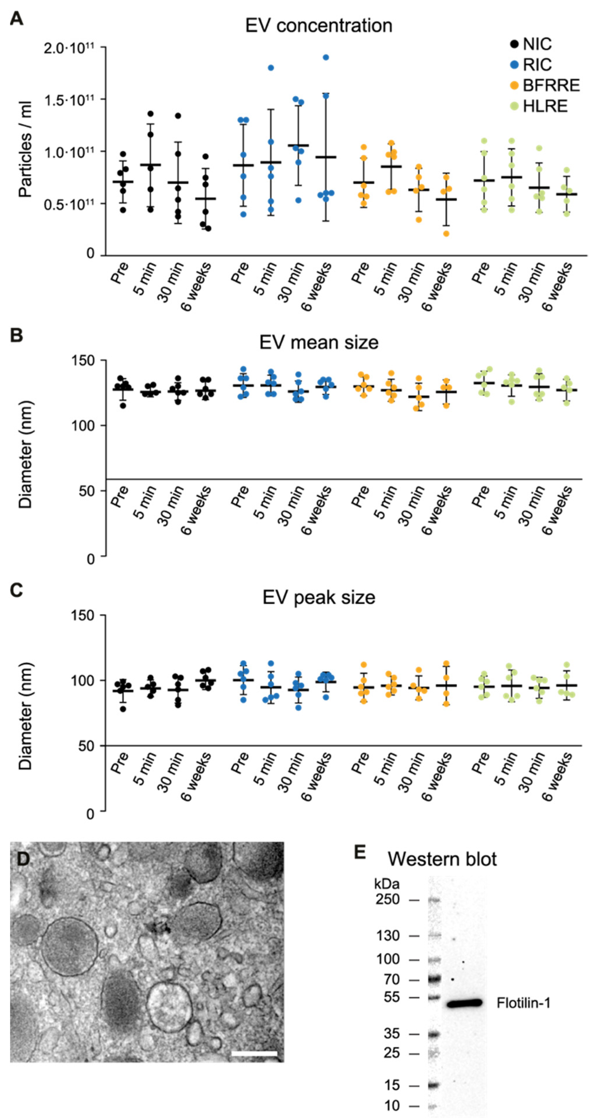 Ijms 23 03334 g002 550