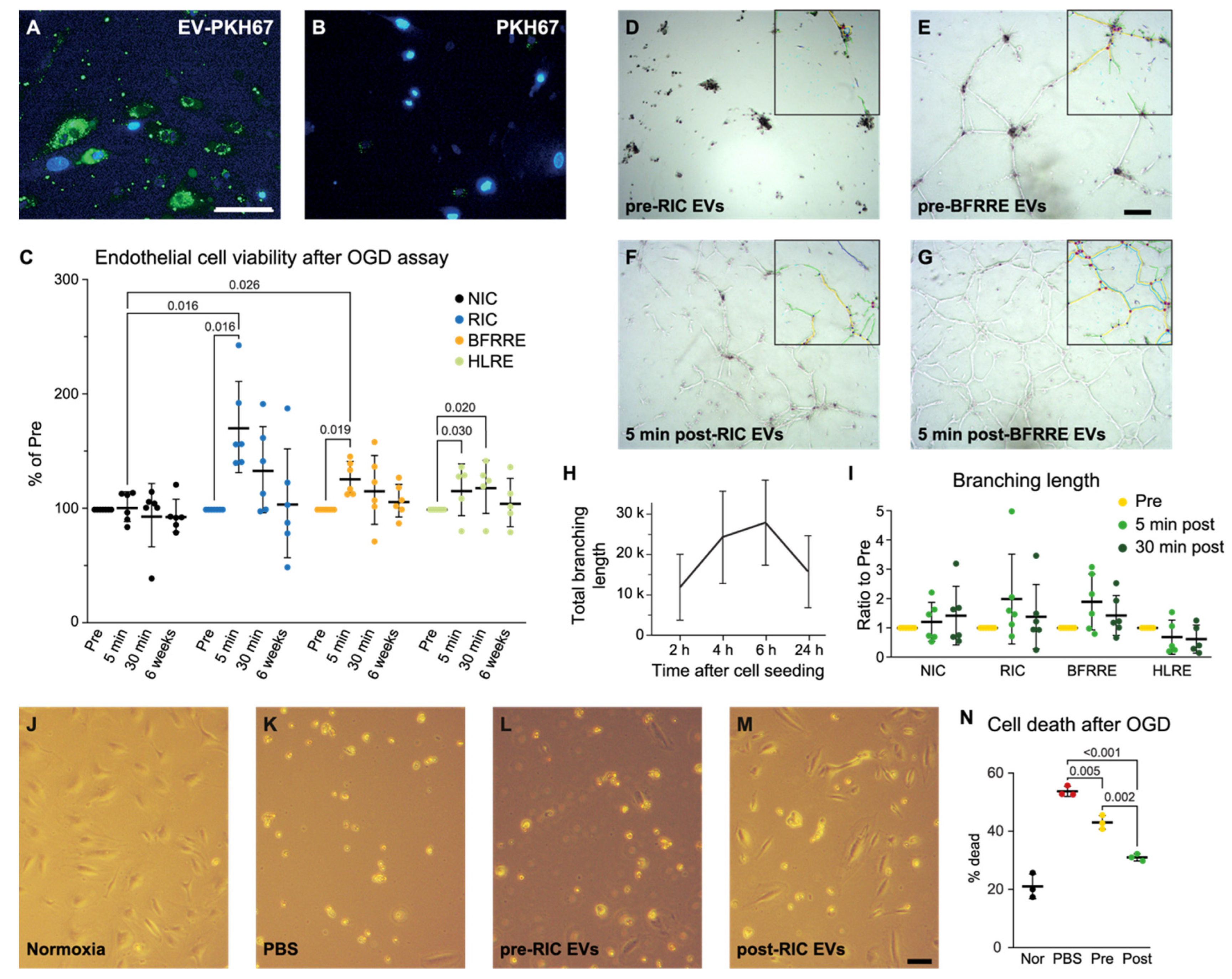 Ijms 23 03334 g003 550