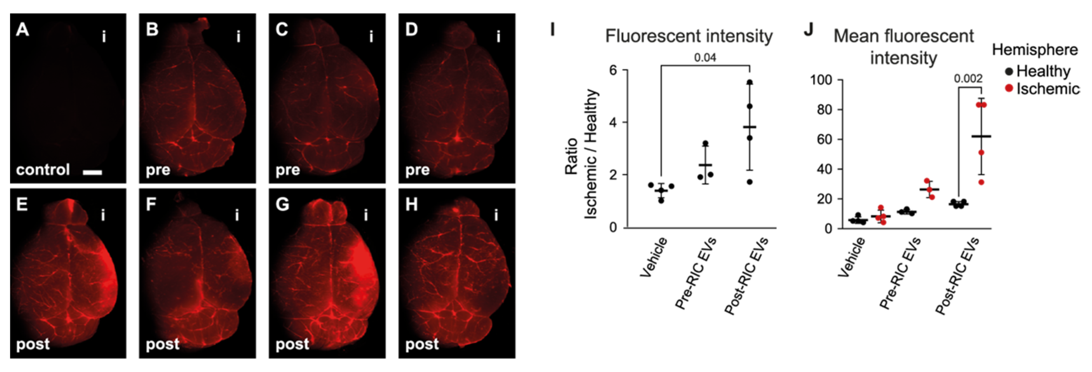 Ijms 23 03334 g004 550
