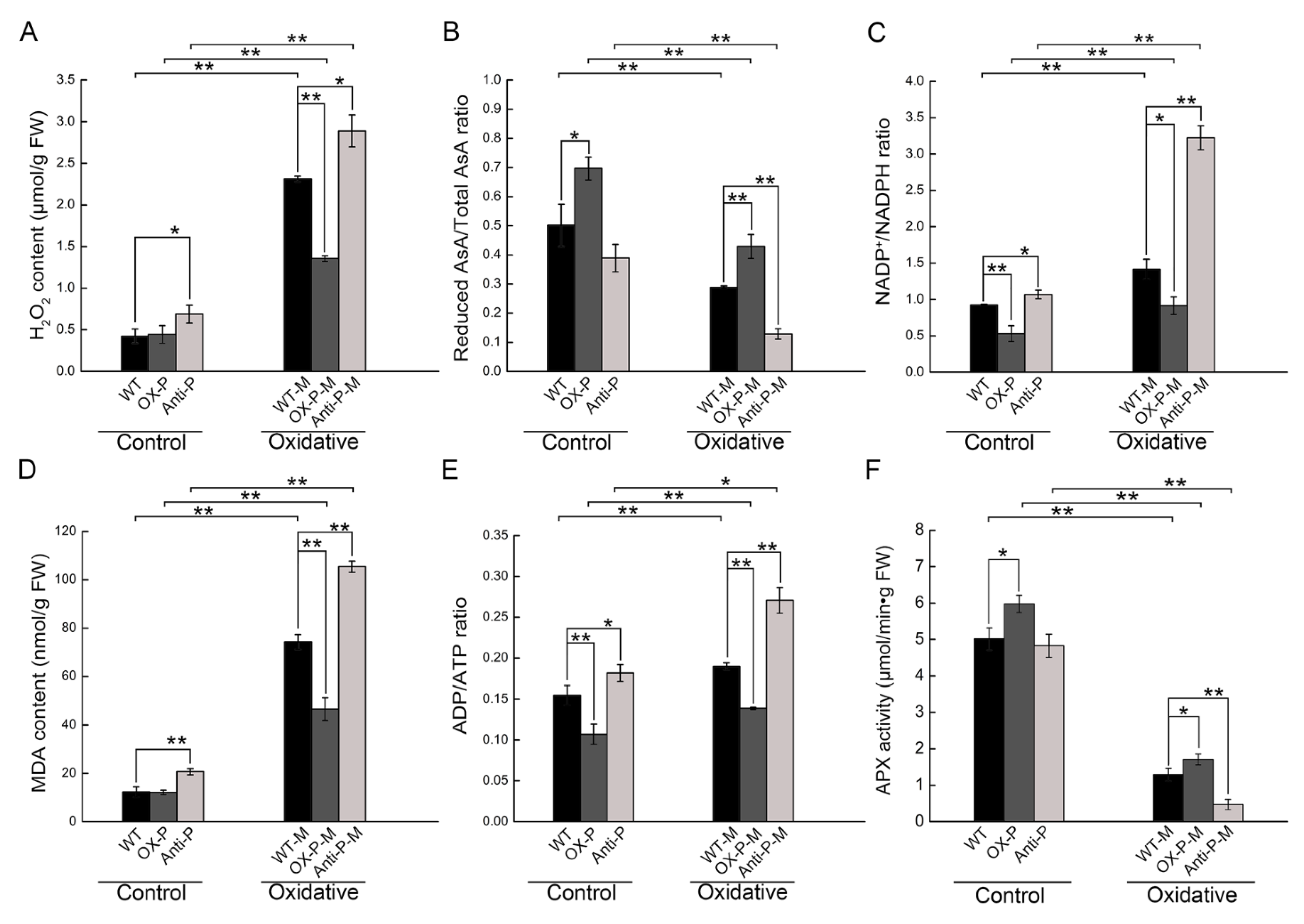 Ijms 23 03340 g004 550