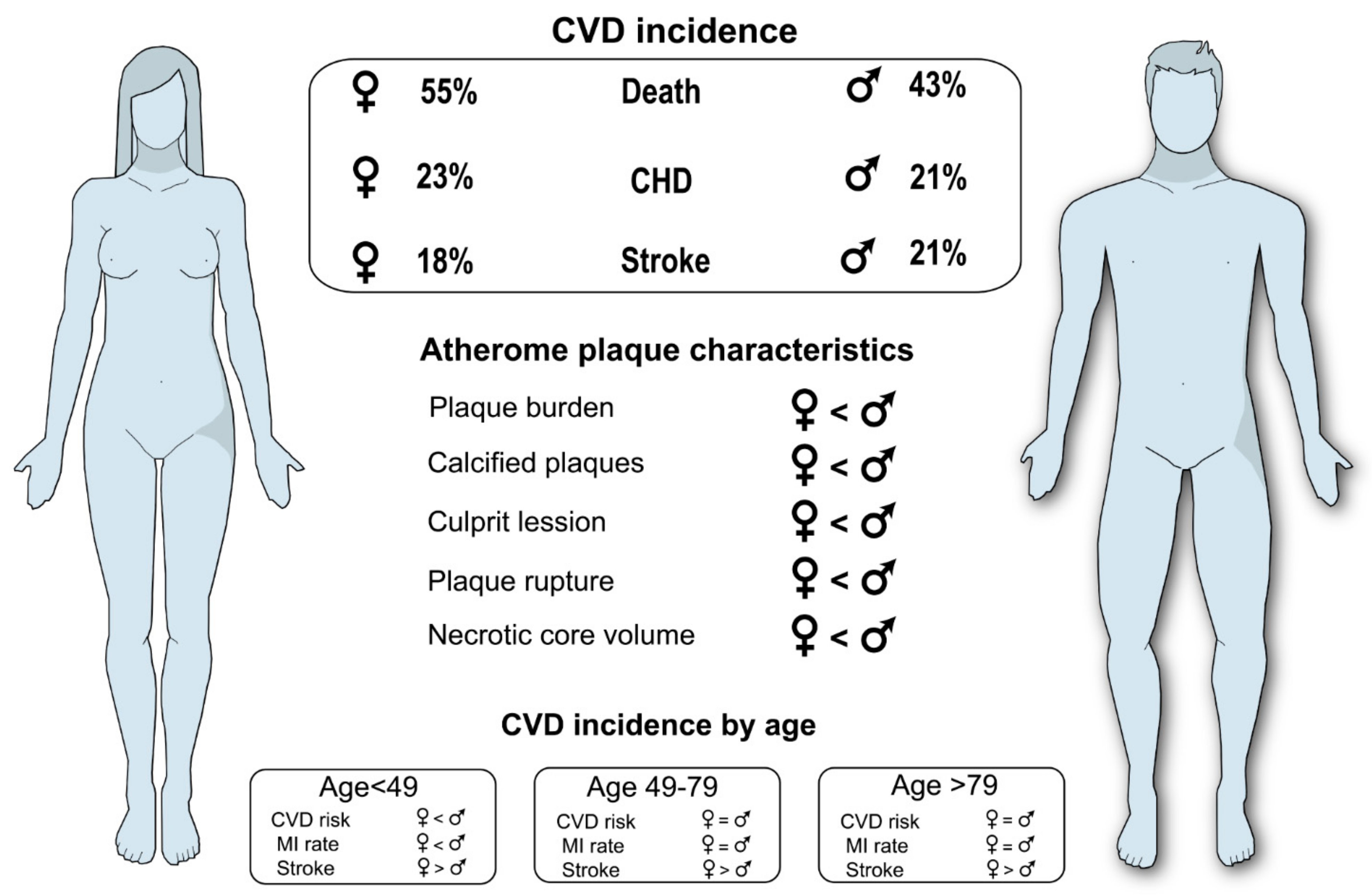 IJMS | Free Full-Text | Pathophysiology of Atherosclerosis | HTML IJMS | Free Full-Text | Pathophysiology of Atherosclerosis | HTML