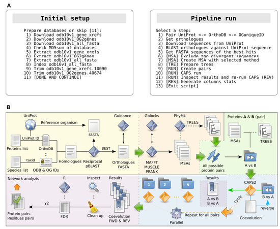 Ijms Free Full Text Autocoev Mdash A High Throughput In Silico Pipeline For Predicting Inter Protein Coevolution Html Ijms Free Full Text Autocoev Mdash A High Throughput In Silico Pipeline For Predicting Inter Protein Coevolution Html