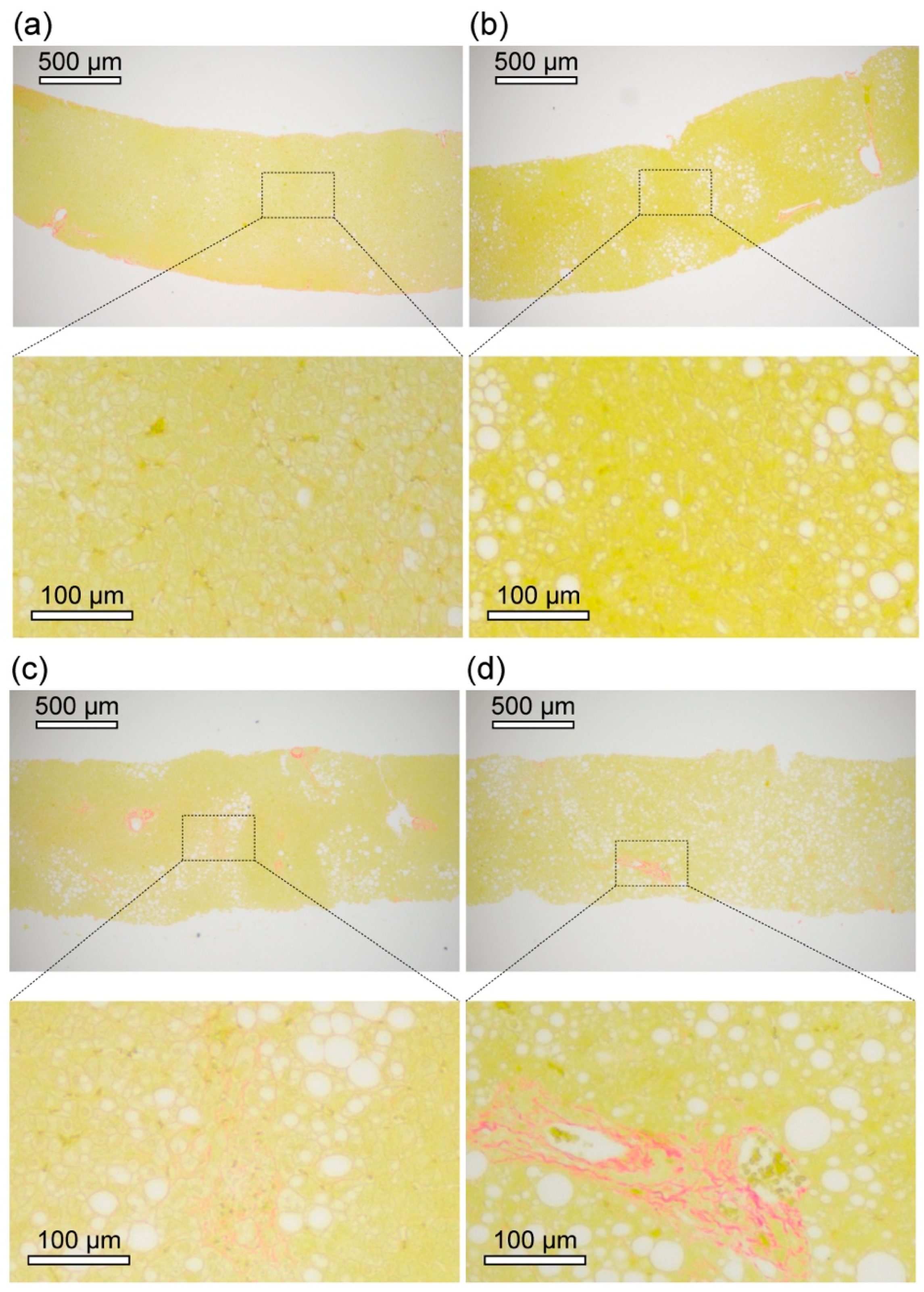 Ijms 23 03357 g001 550