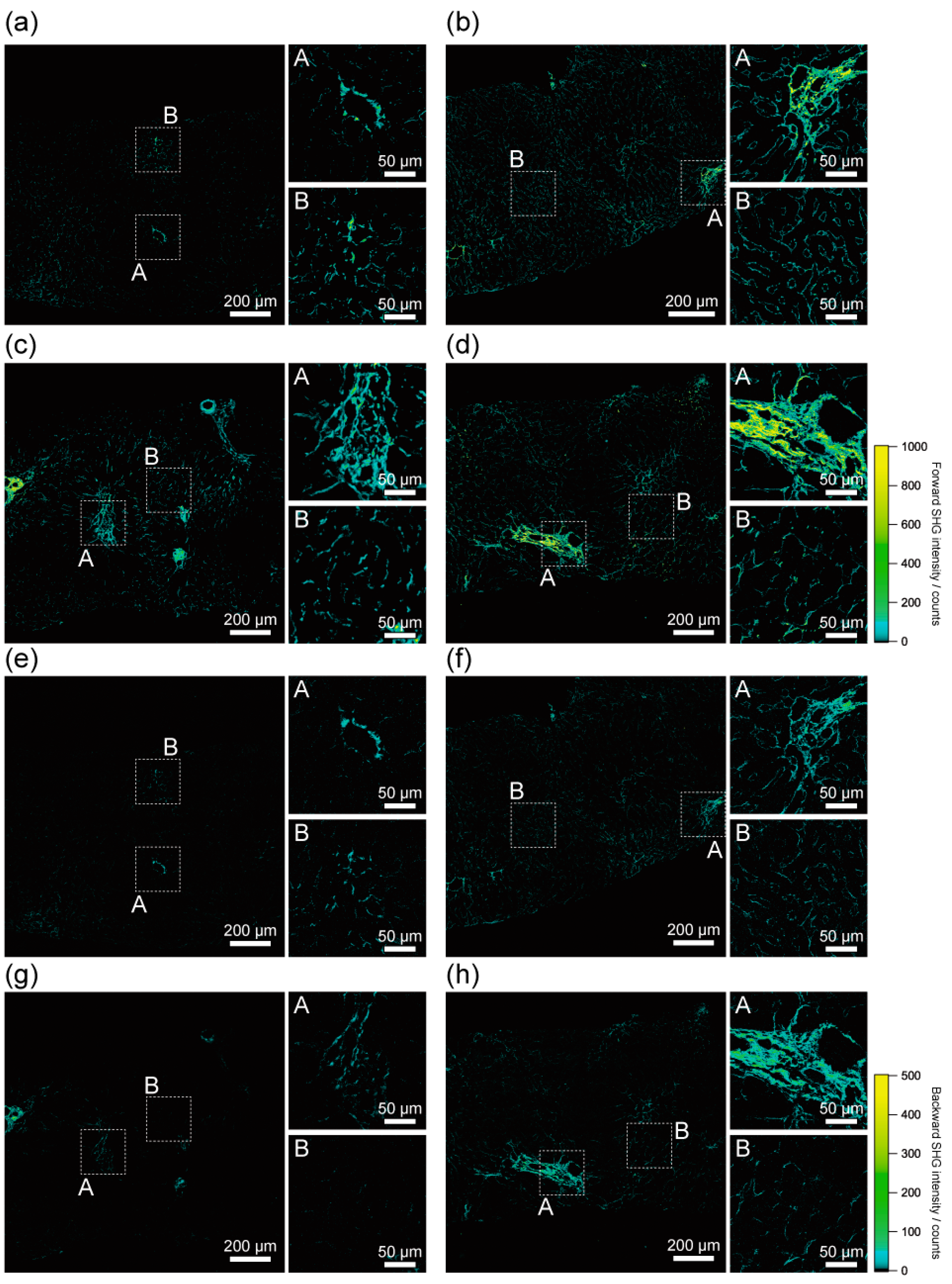 Ijms 23 03357 g002 550
