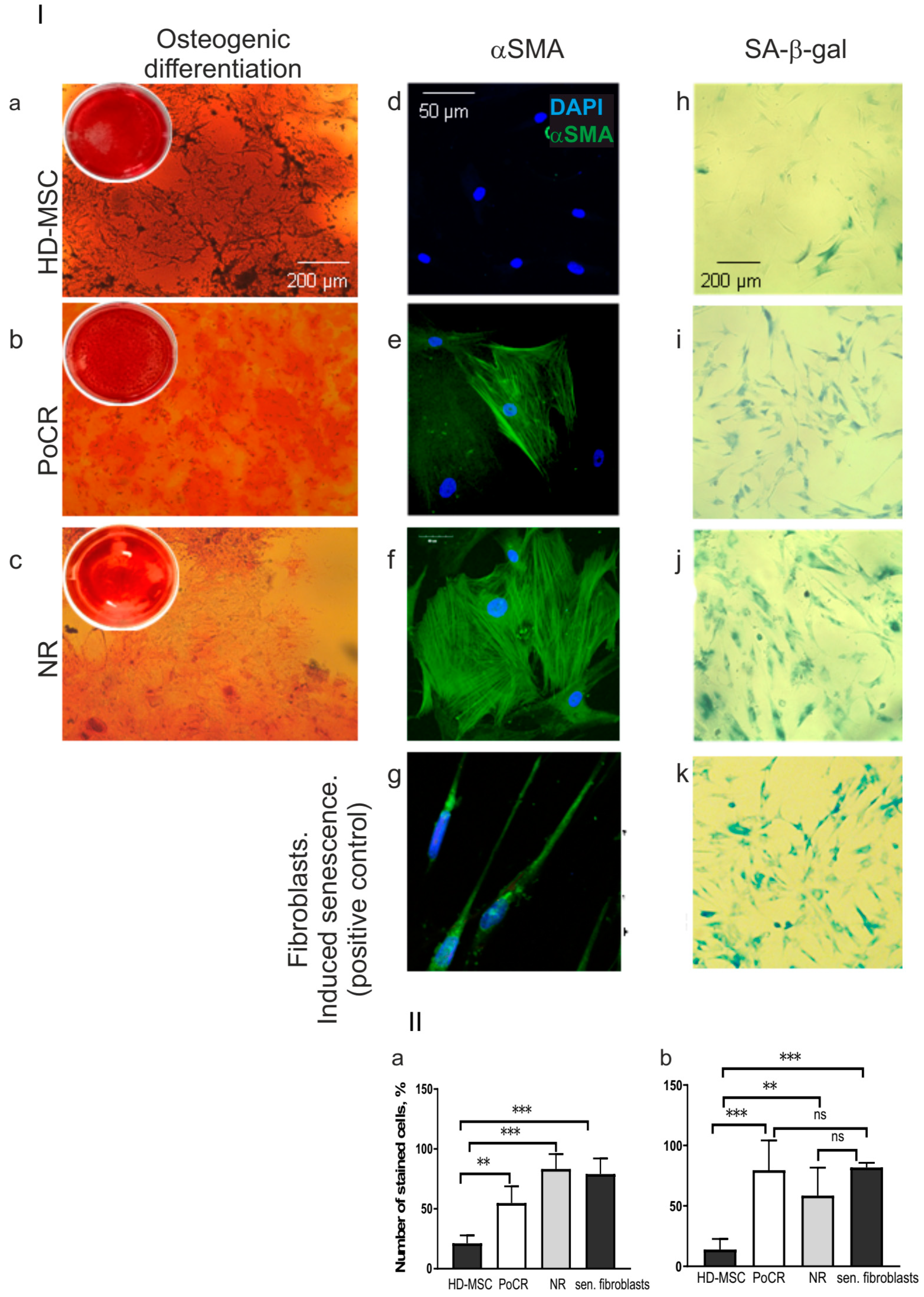 Ijms 23 03359 g004 550