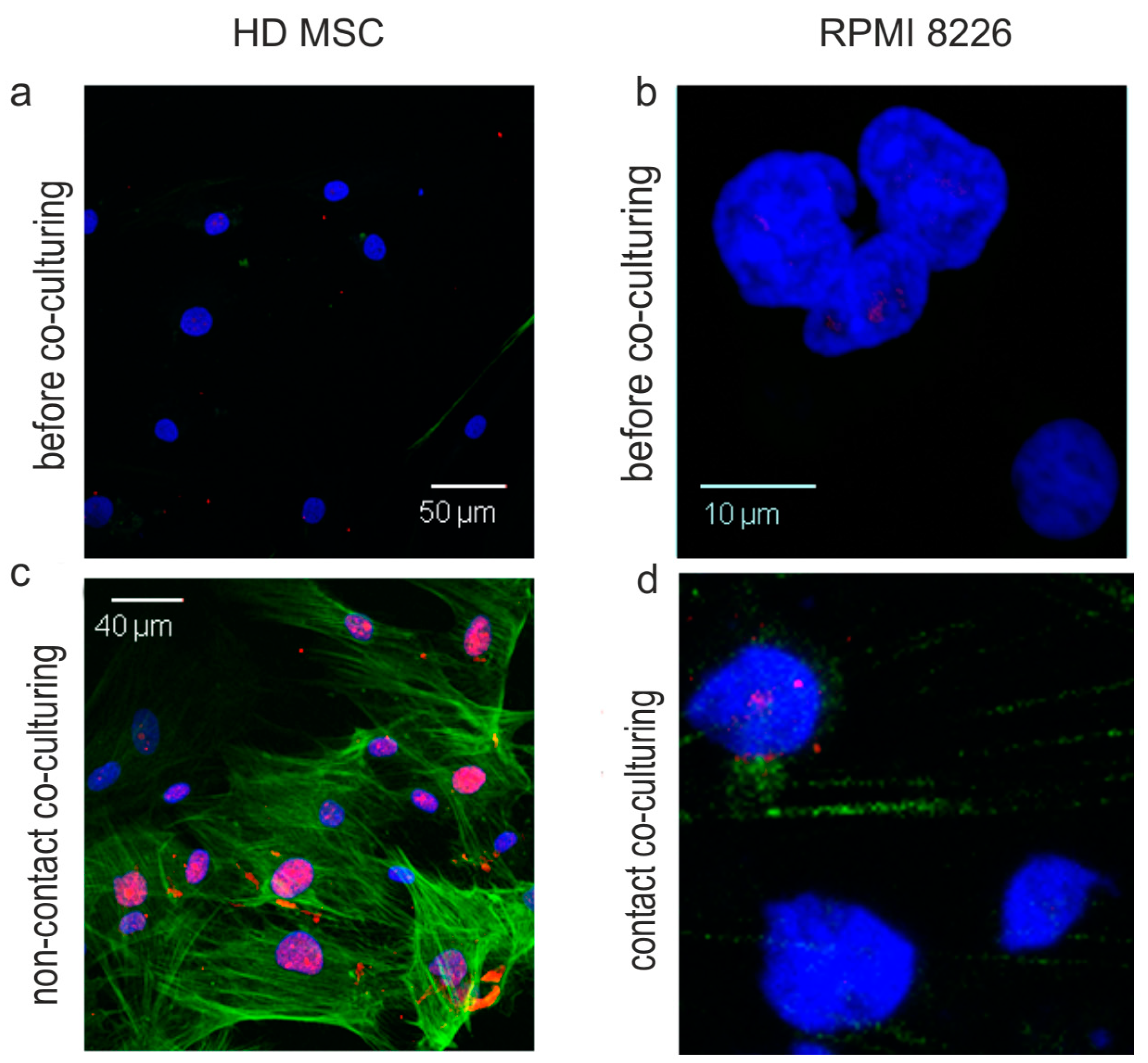 Ijms 23 03359 g006 550