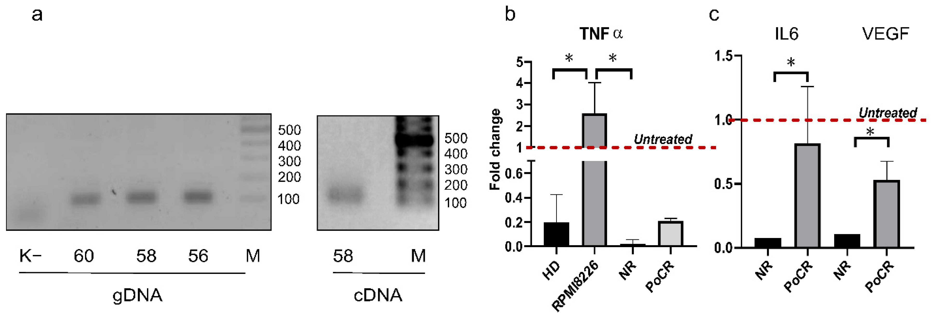 Ijms 23 03359 g007 550