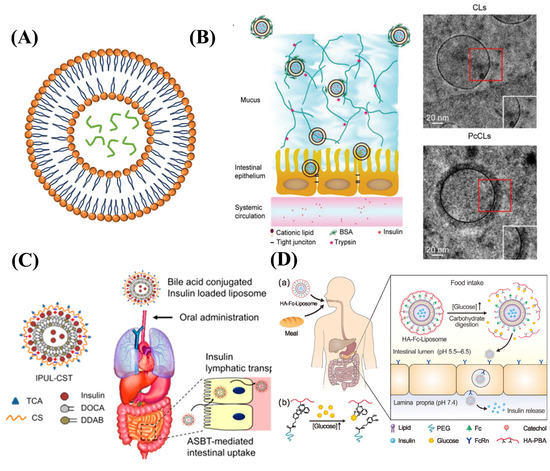 Versatile Oral Insulin Delivery Nanosystems: From Materials Versatile Oral Insulin Delivery Nanosystems: From Materials