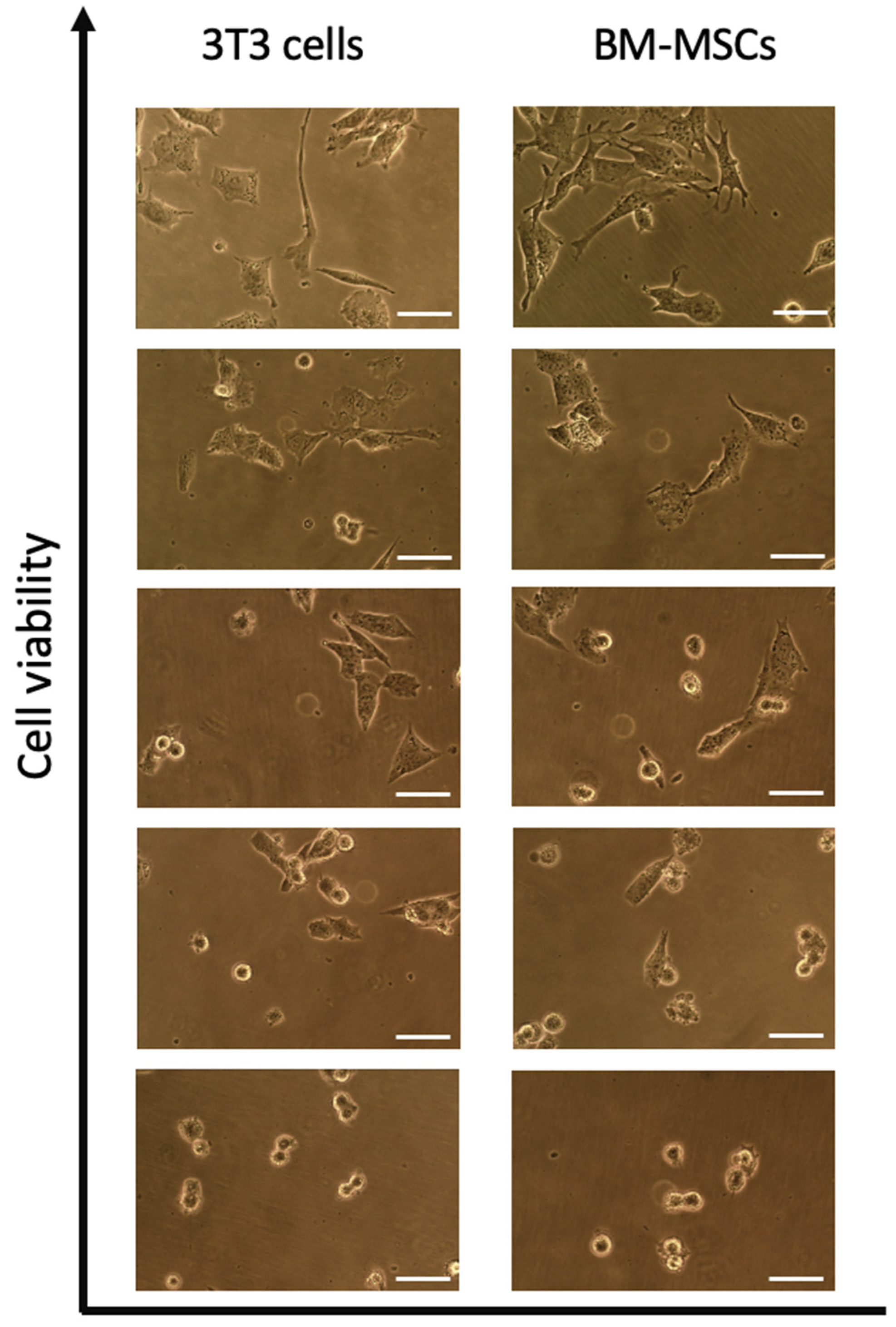 Ijms 23 03364 g001 550