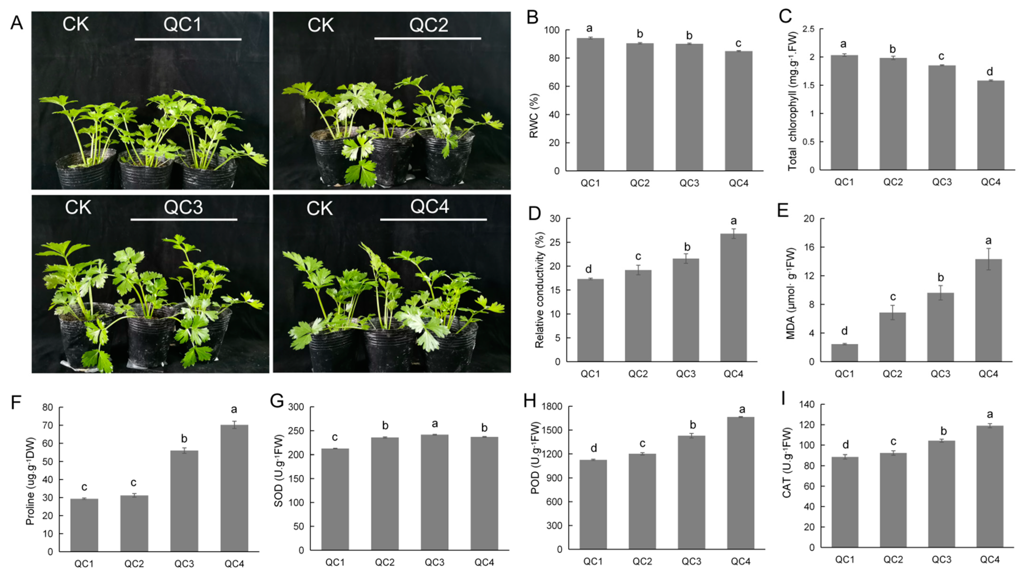 Ijms 23 03367 g001 550