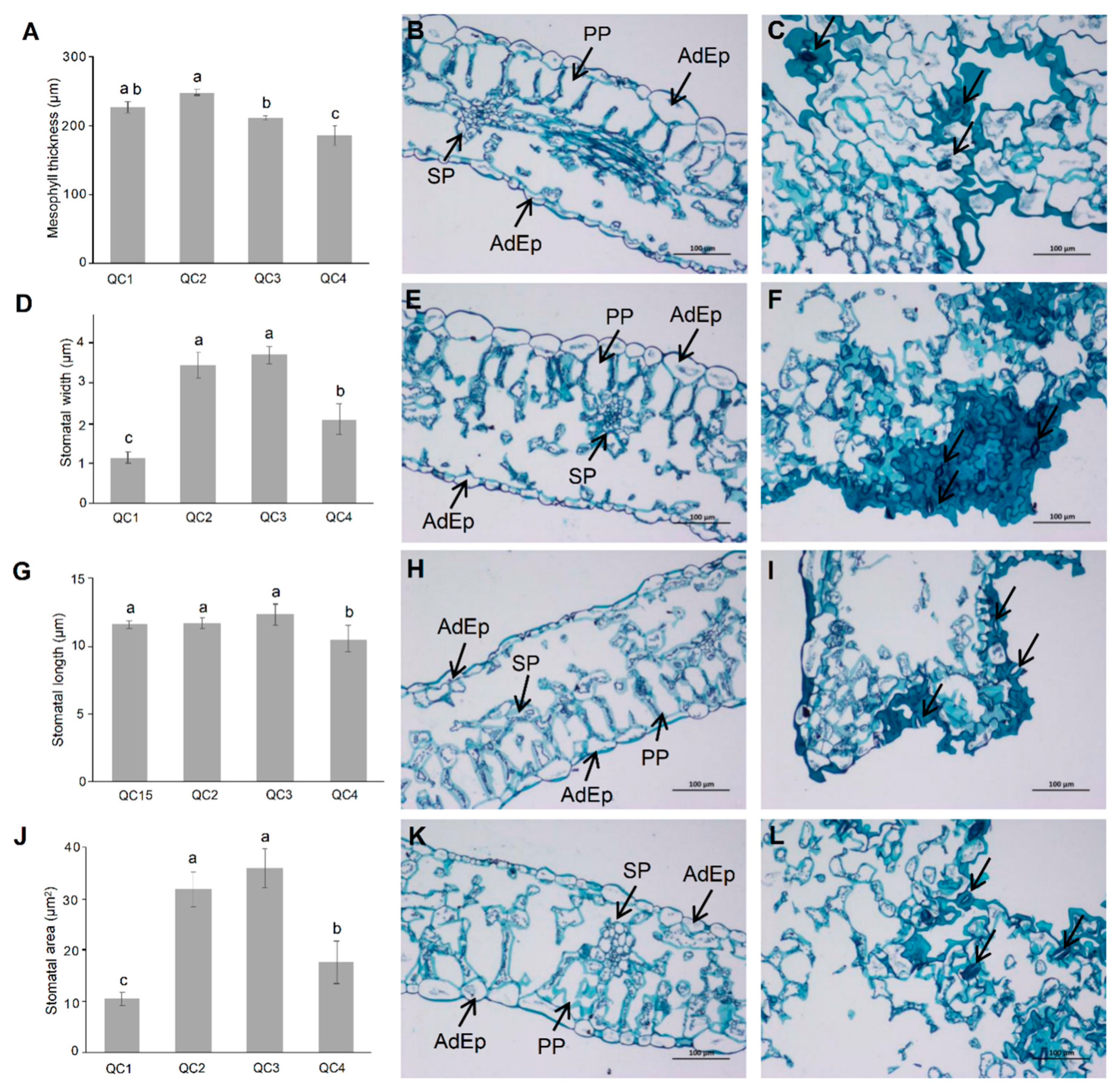 Ijms 23 03367 g002 550