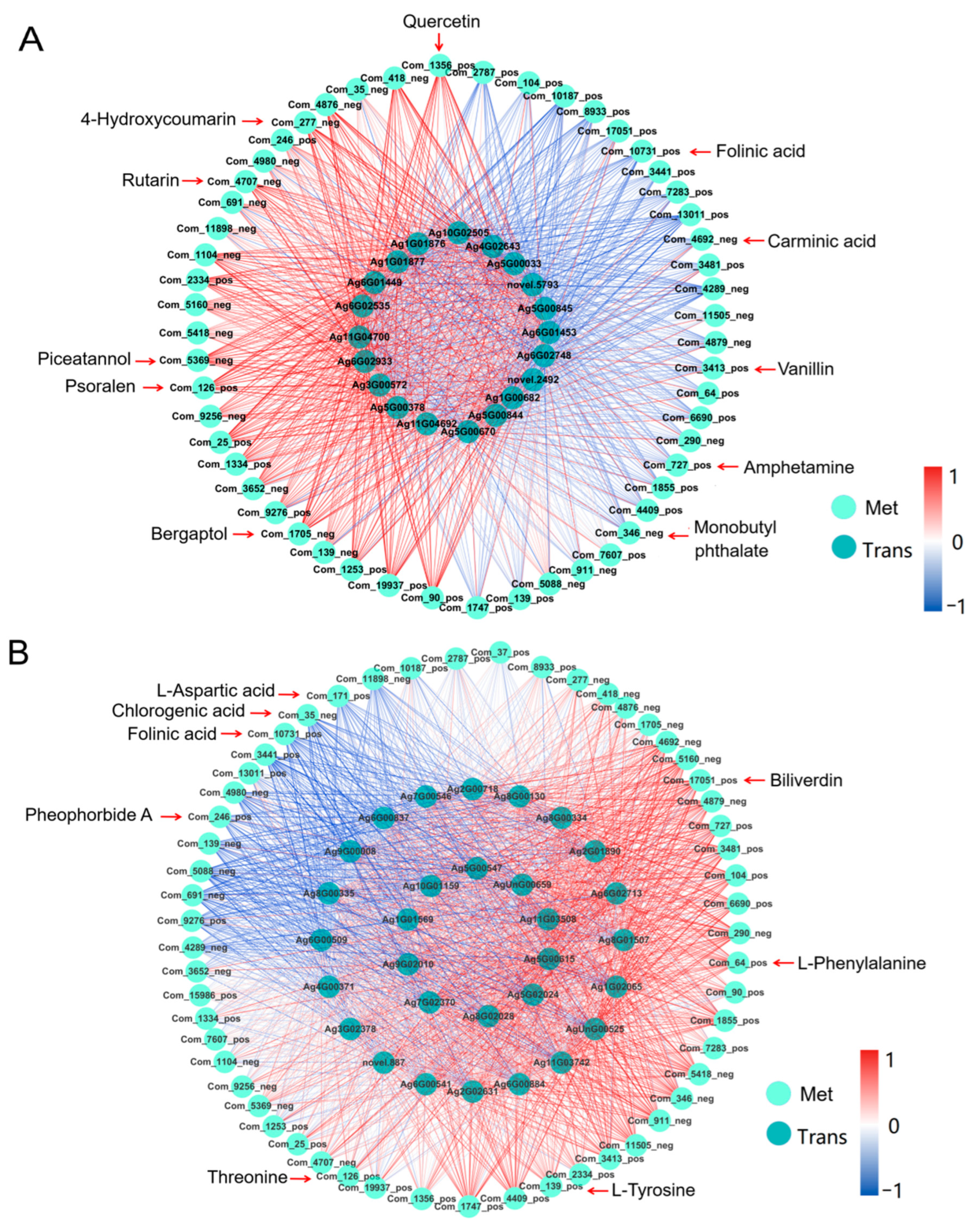 Ijms 23 03367 g008 550