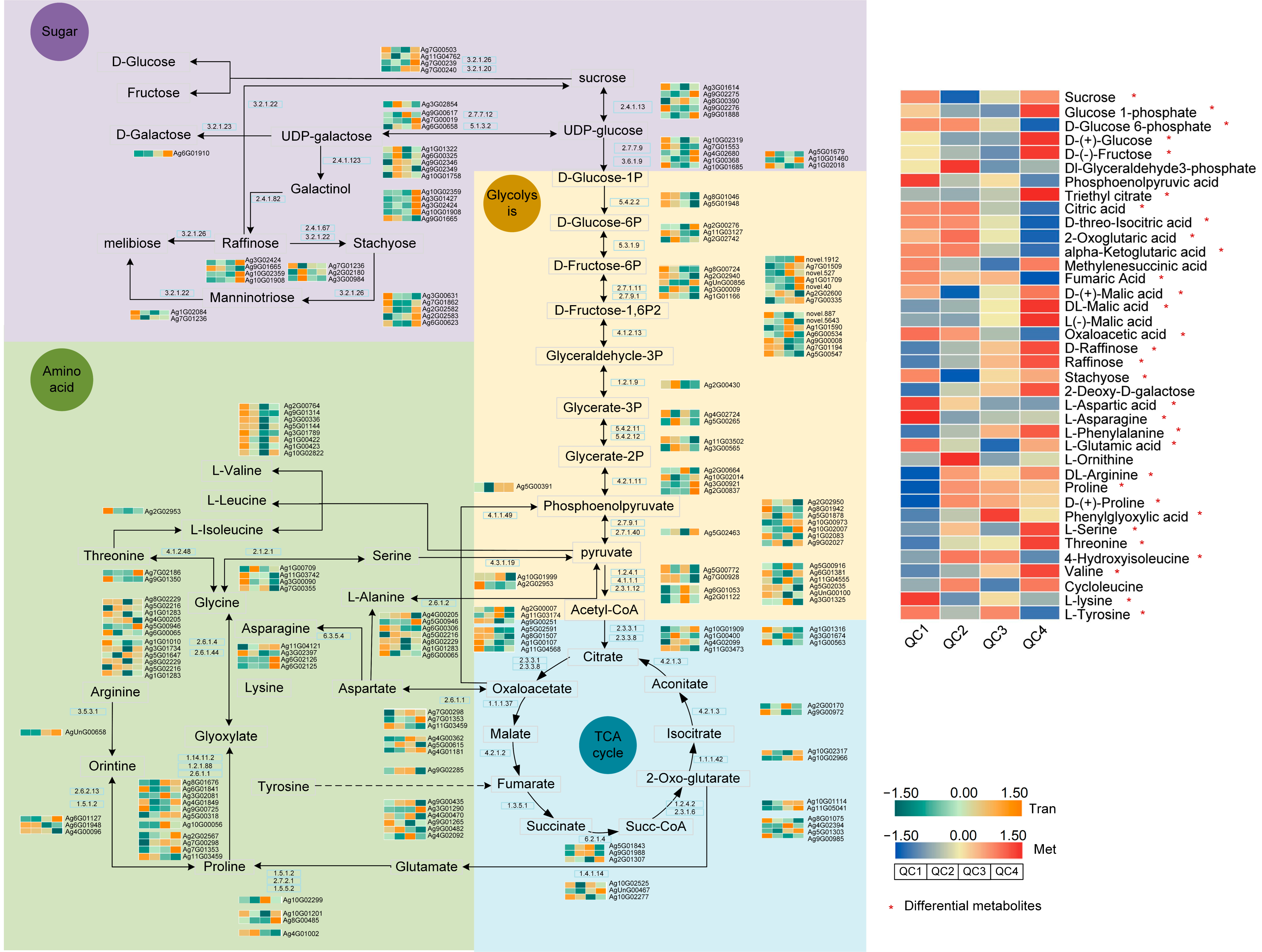 Ijms 23 03367 g009 550