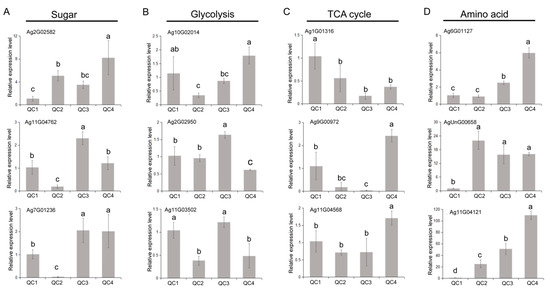Combined Analysis of the Metabolome and Transcriptome to Explore Heat ...