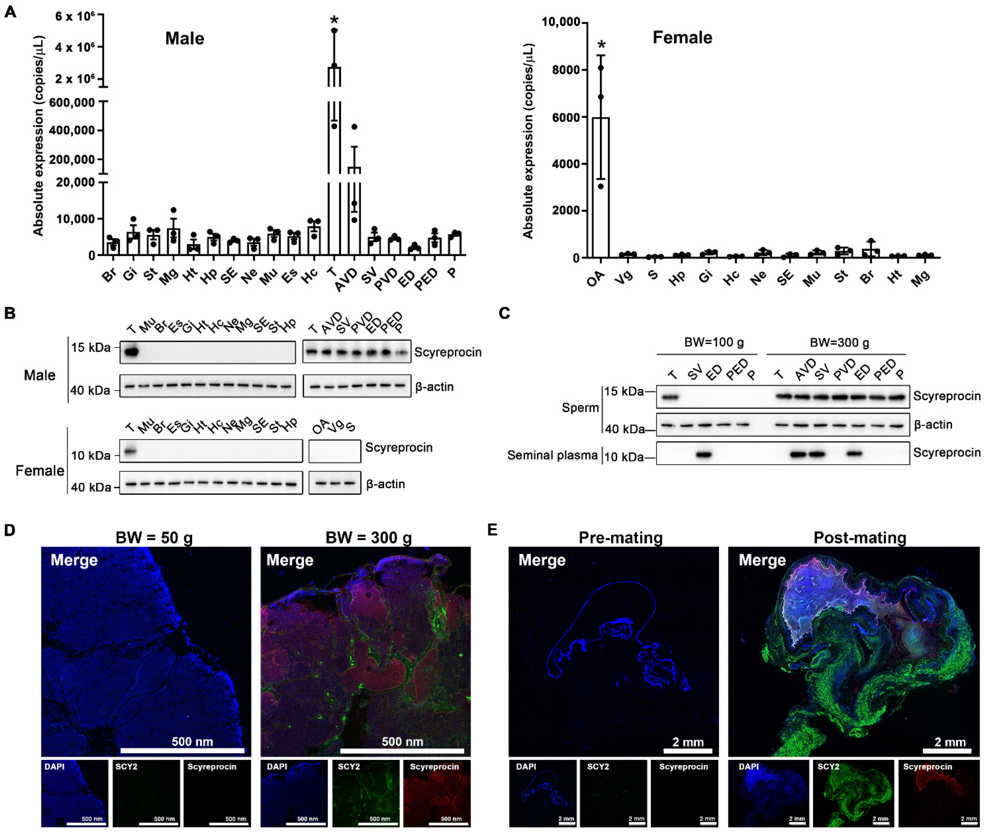 Ijms 23 03373 g001 550