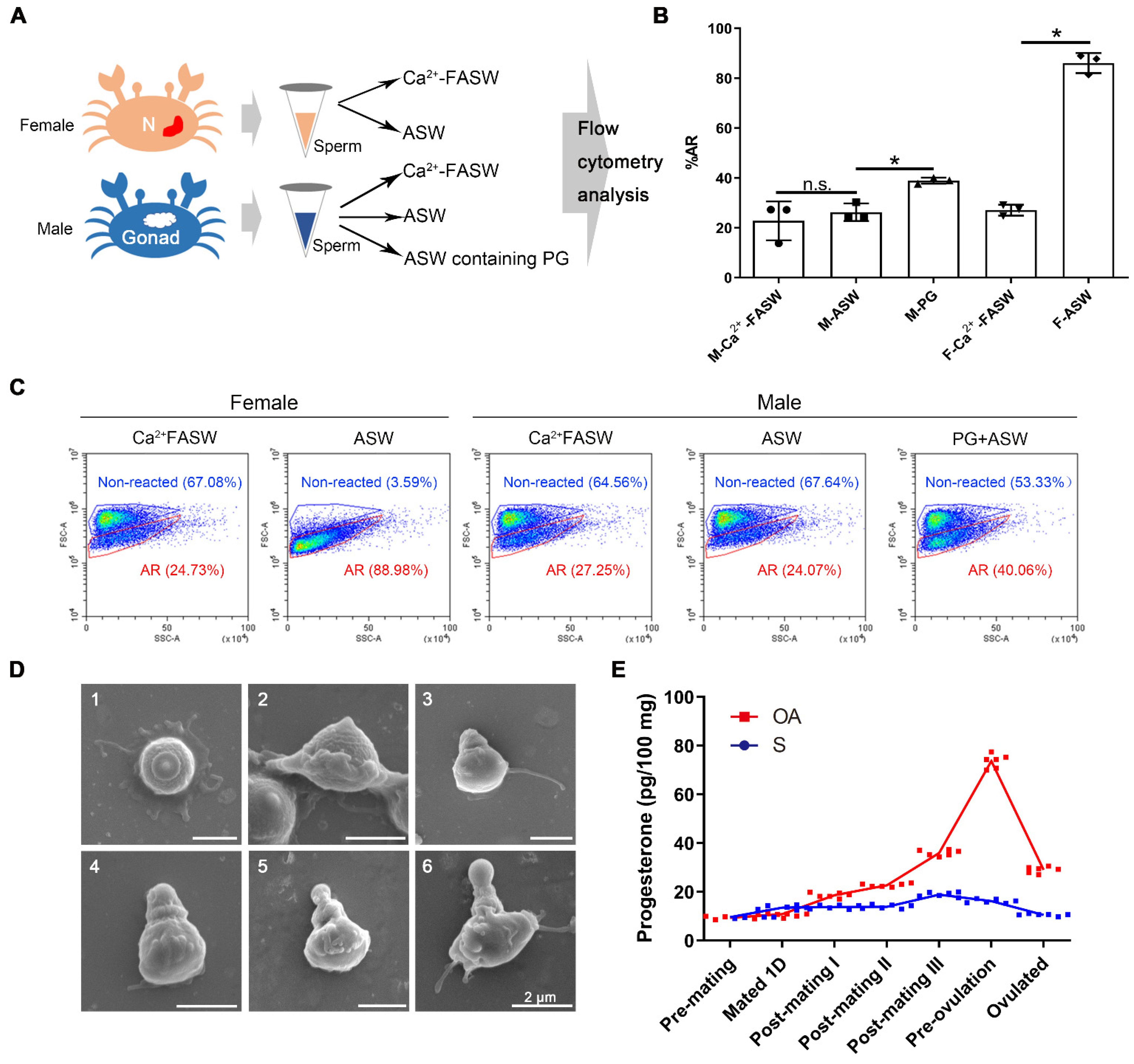 Ijms 23 03373 g004 550