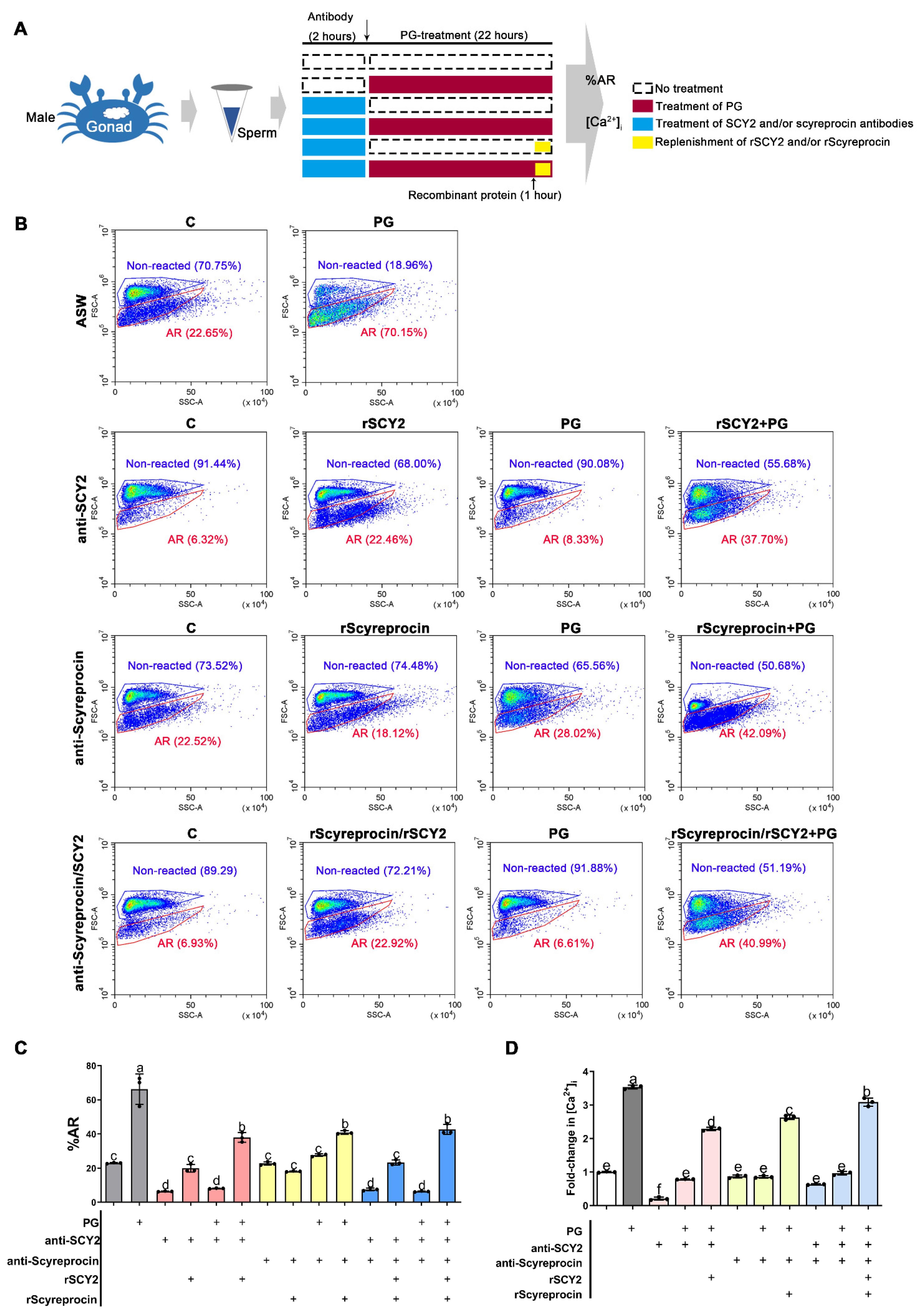 Ijms 23 03373 g006 550