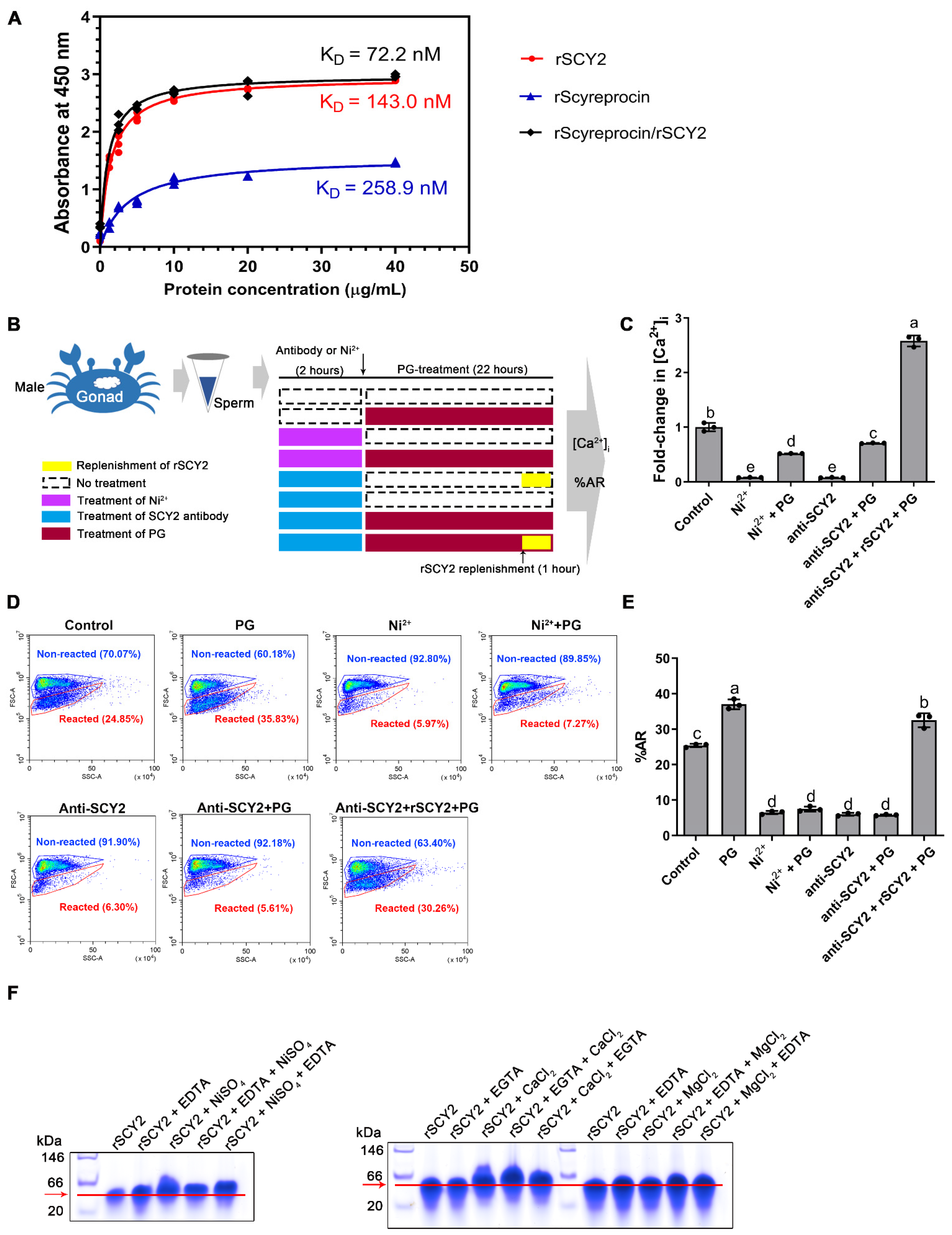 Ijms 23 03373 g007 550