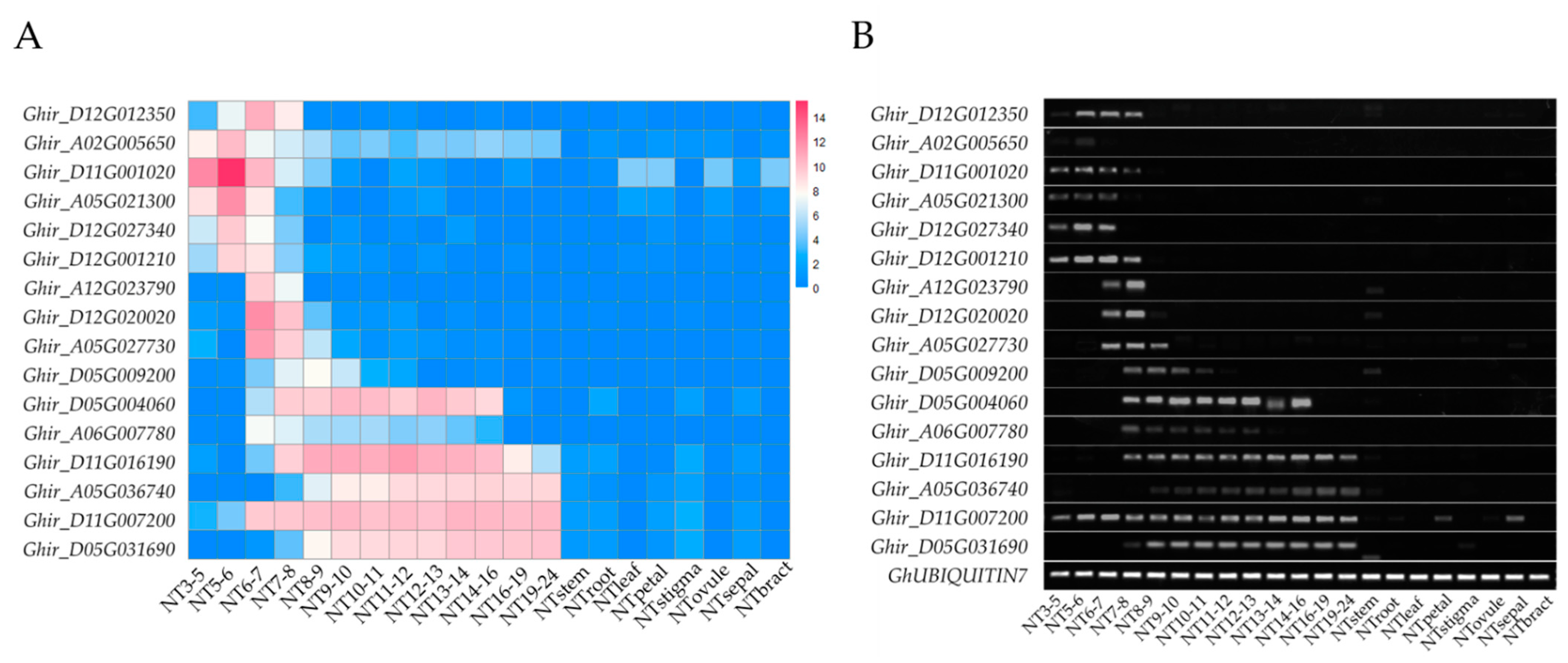 Ijms 23 03378 g003 Ijms 23 03378 g003