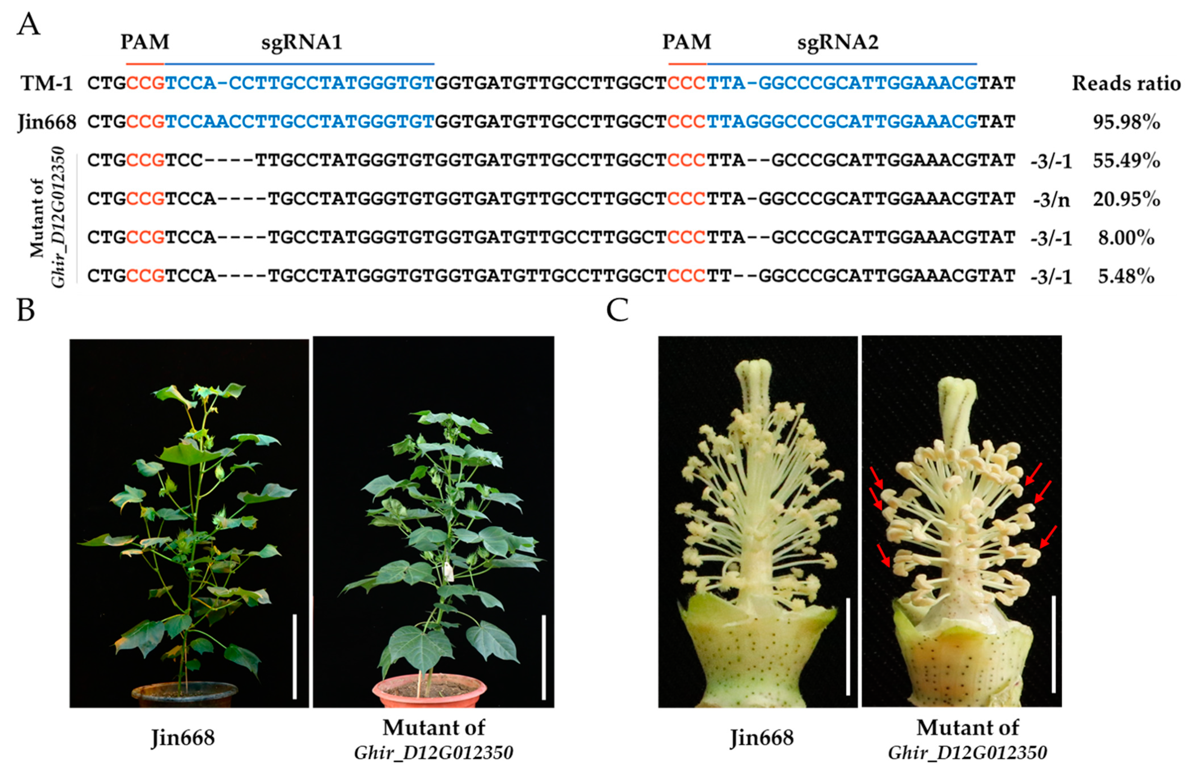 Ijms 23 03378 g004 Ijms 23 03378 g004
