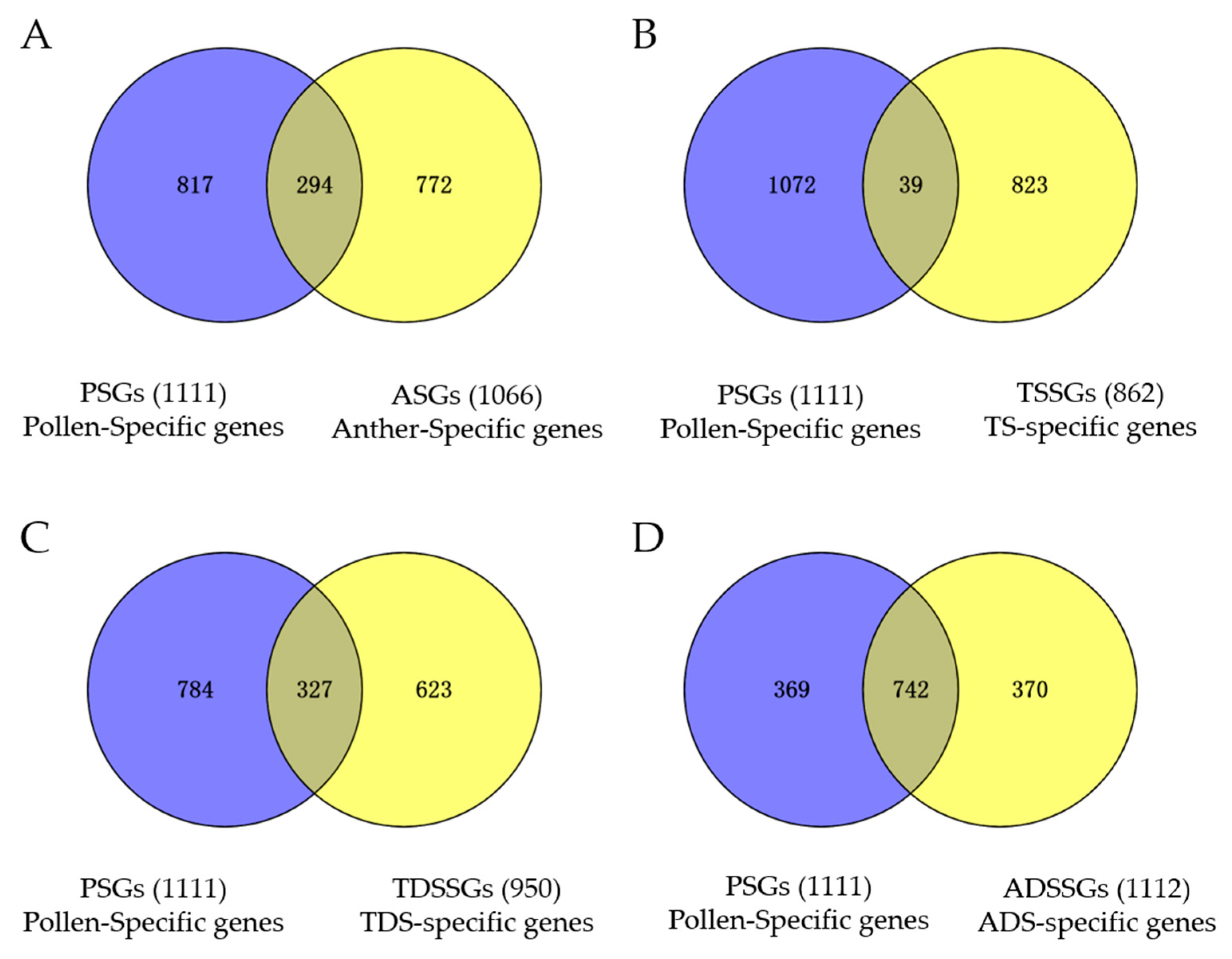 Ijms 23 03378 g005 Ijms 23 03378 g005
