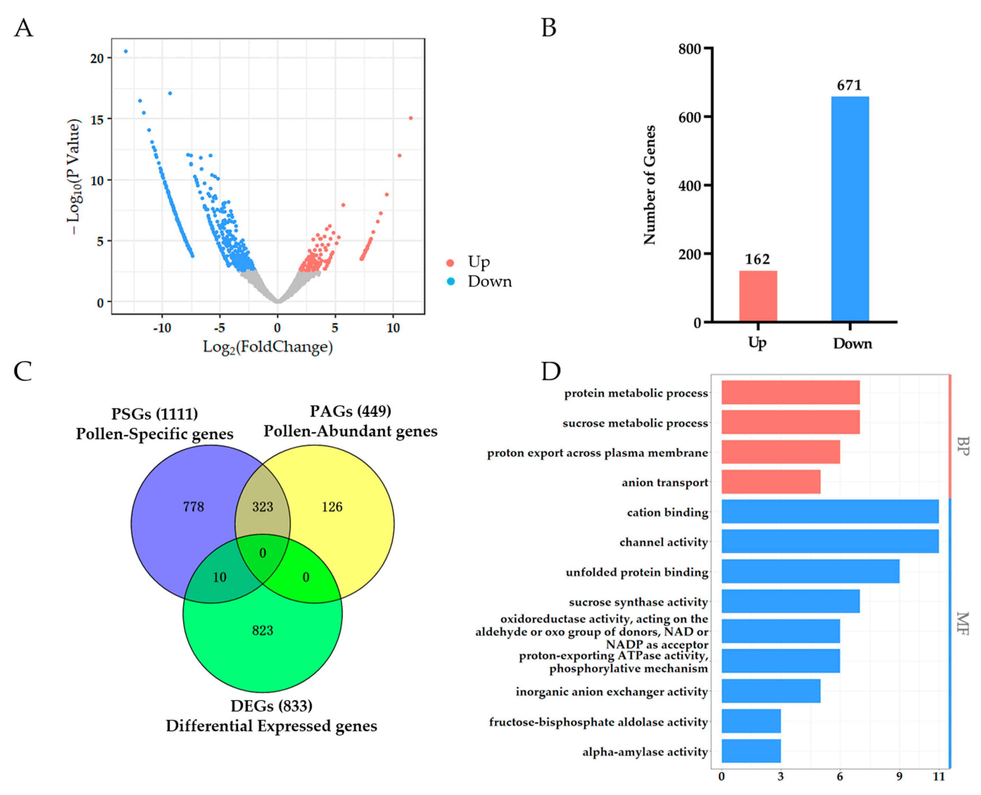 Ijms 23 03378 g008 Ijms 23 03378 g008