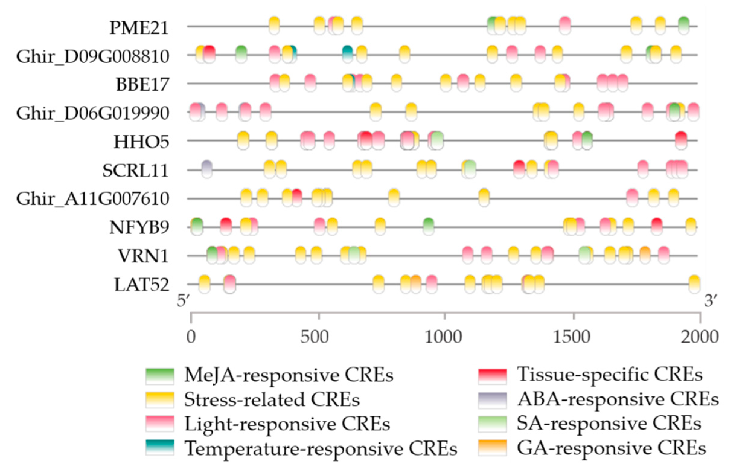 Ijms 23 03378 g009 Ijms 23 03378 g009
