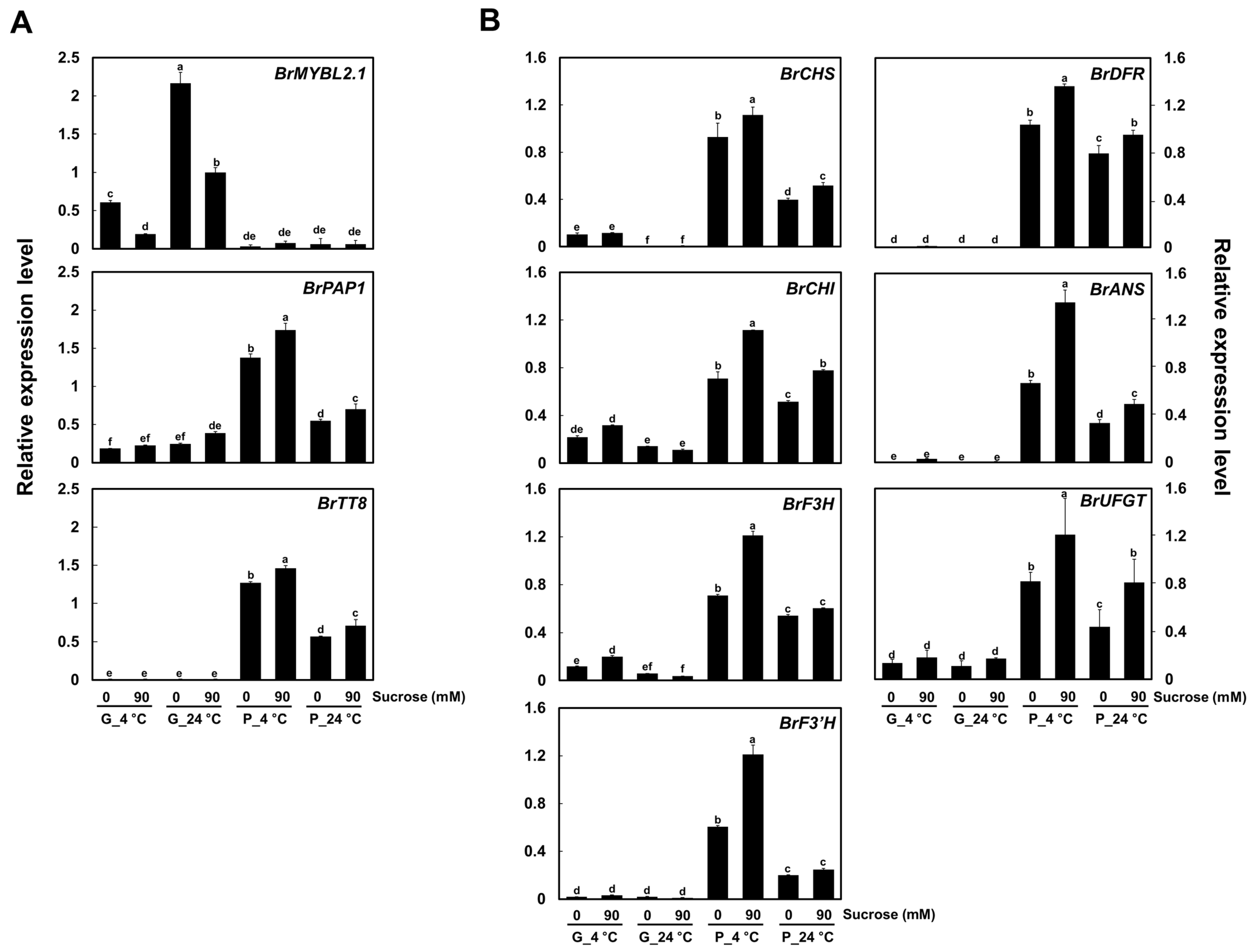 Ijms 23 03382 g002 550