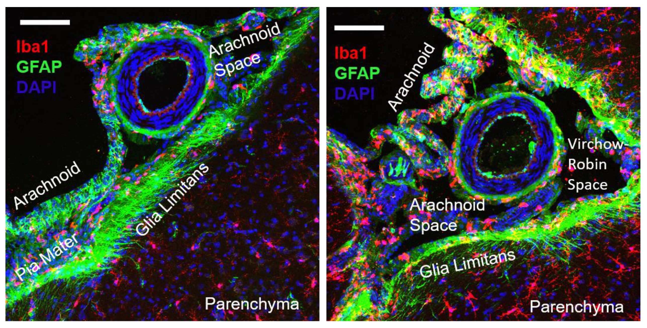 Ijms 23 03384 g003 550