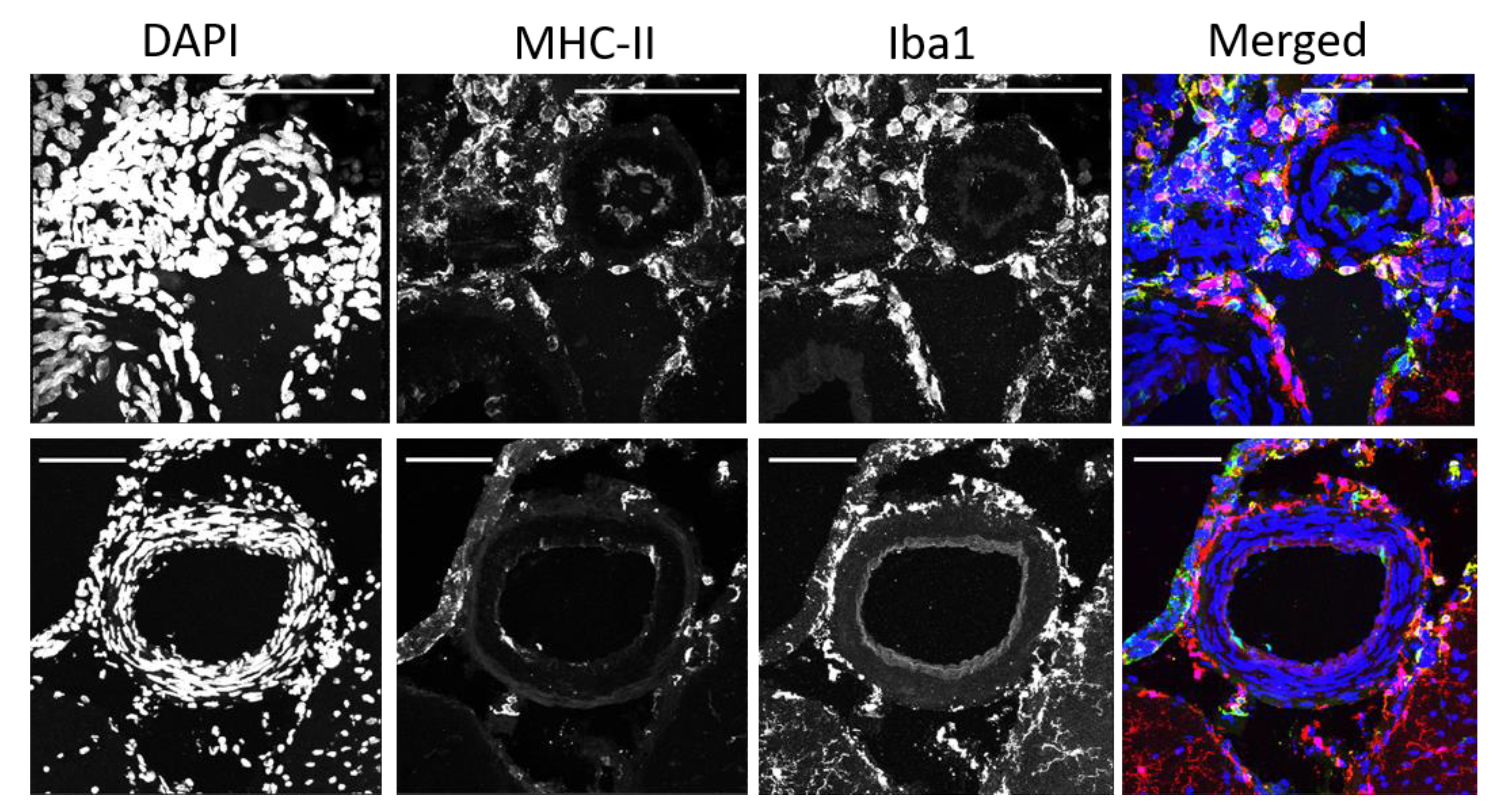 Ijms 23 03384 g004 550