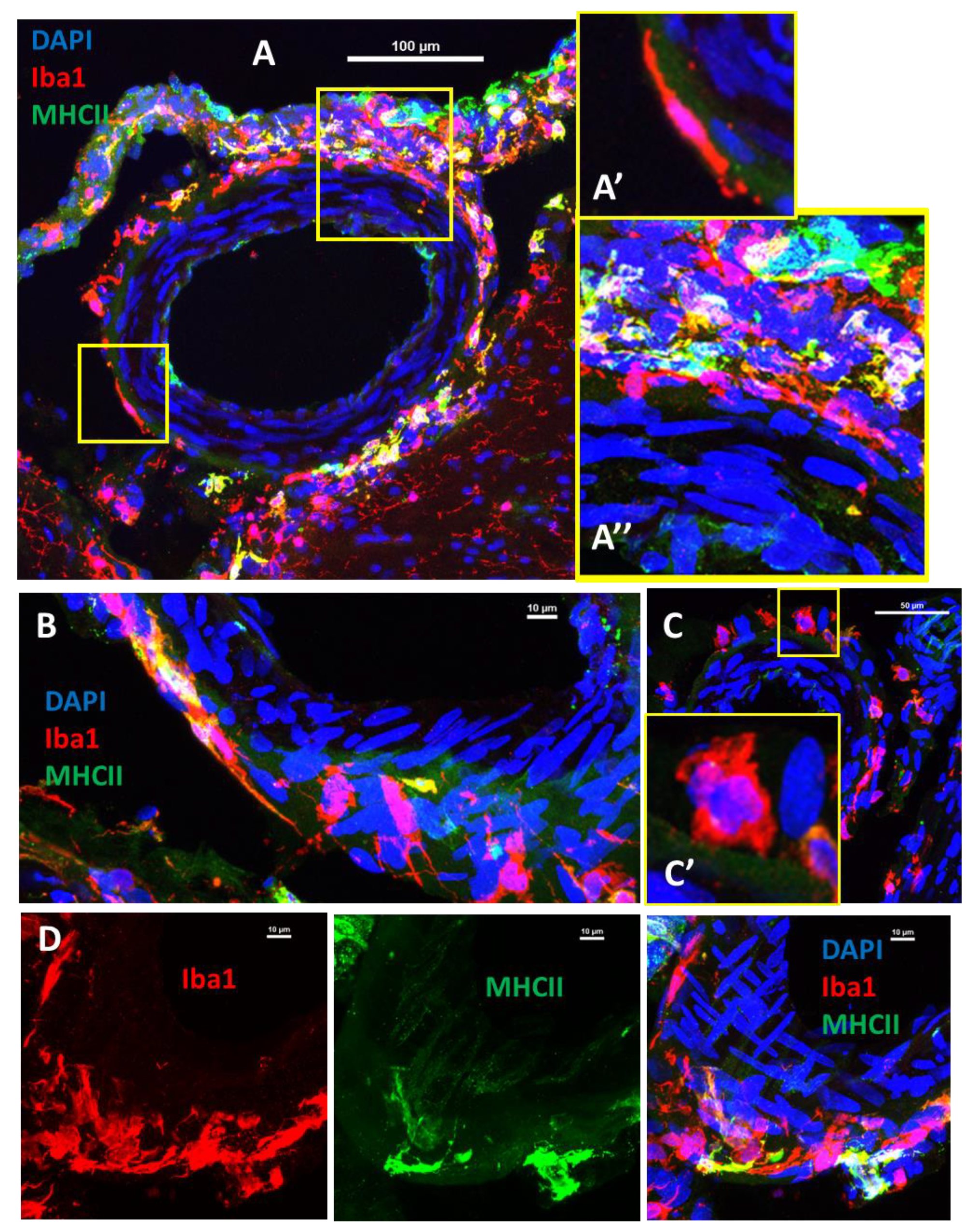 Ijms 23 03384 g006 550