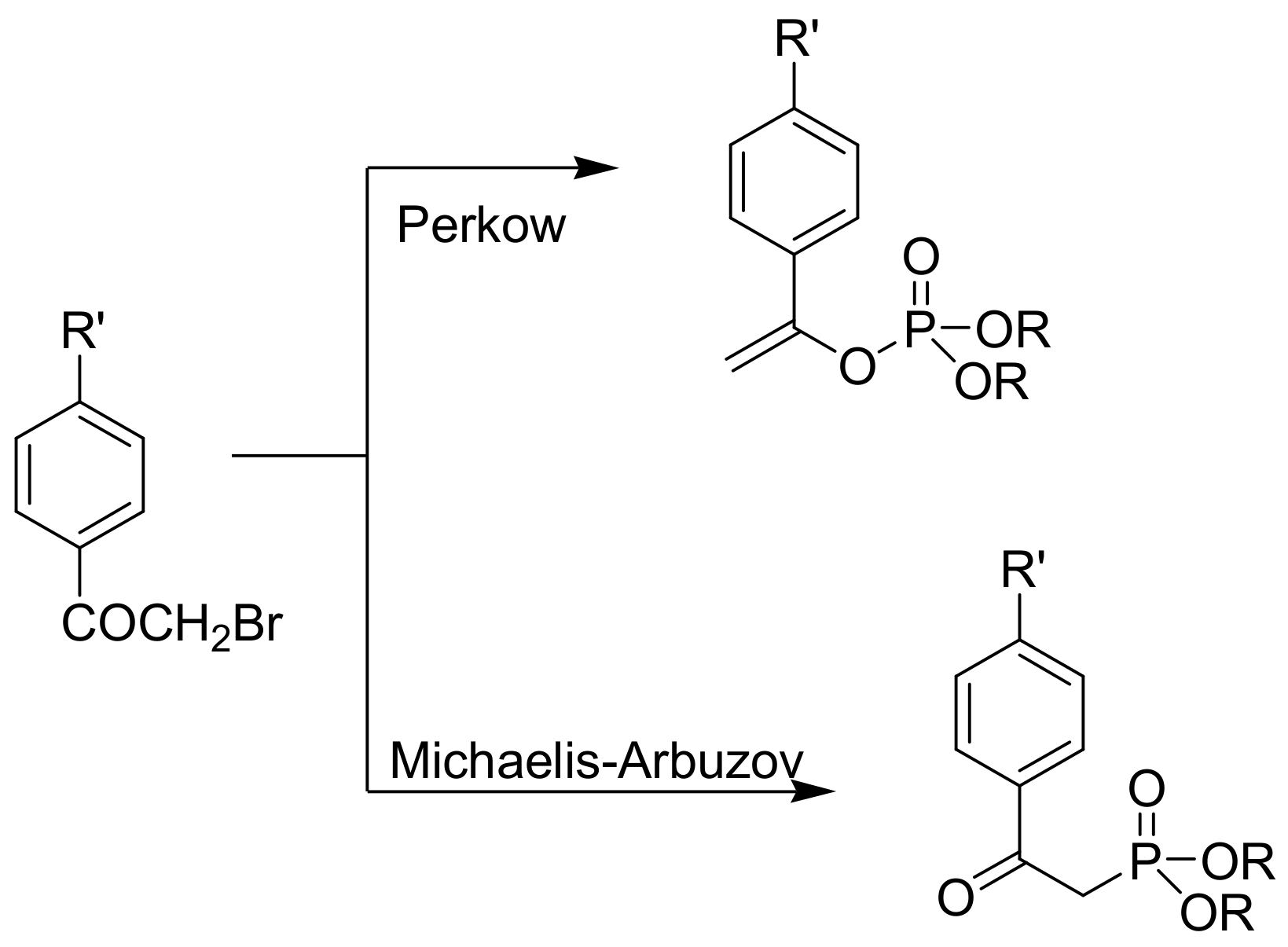 Ijms 23 03395 sch018