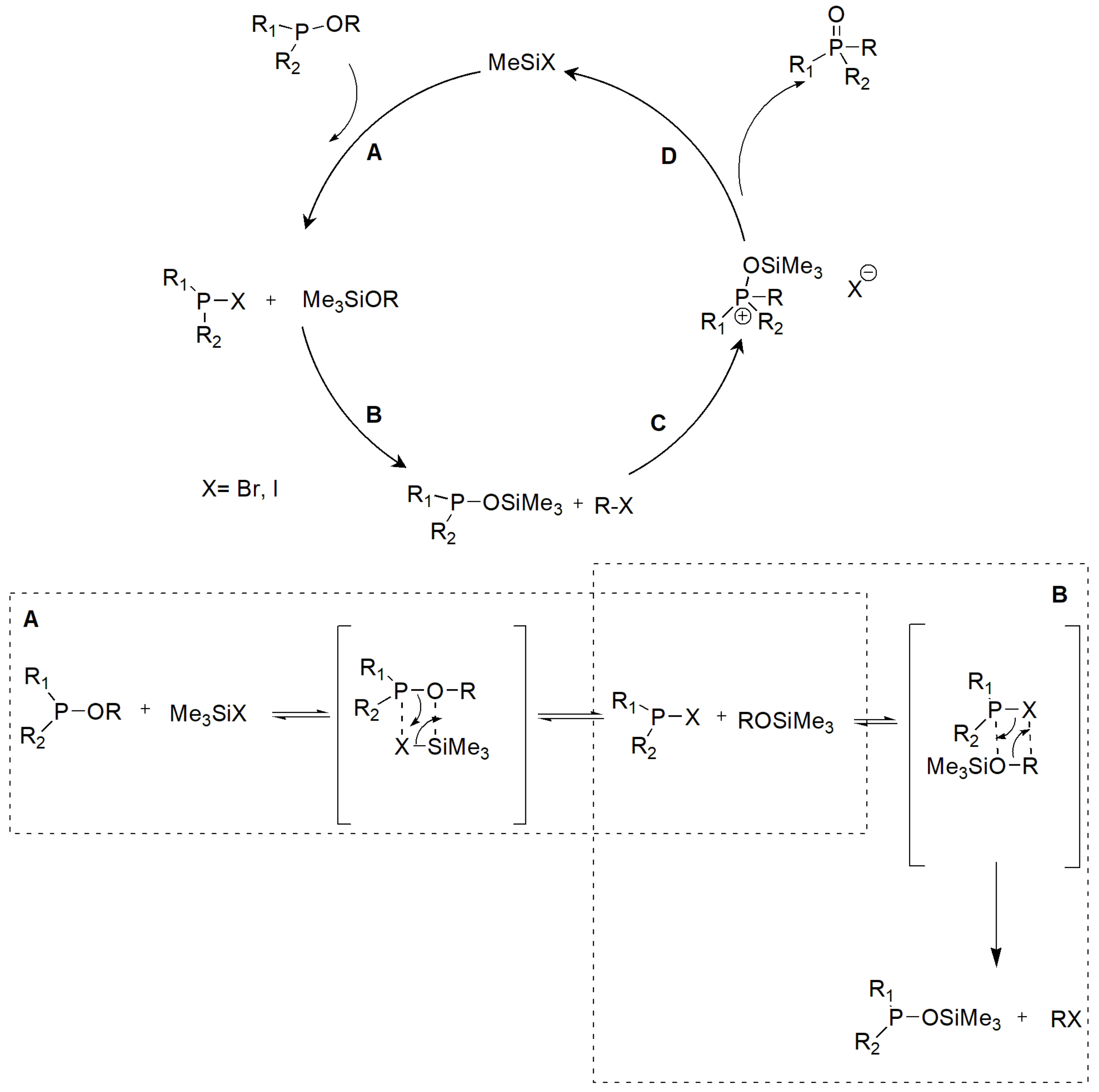 Ijms 23 03395 sch021
